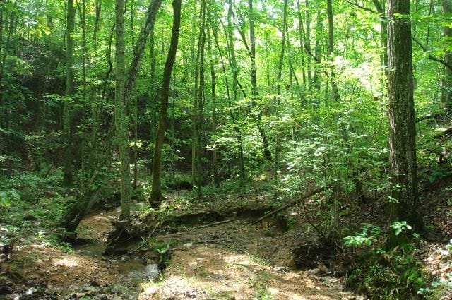 Sugartree Falls Tract 31 photo 6