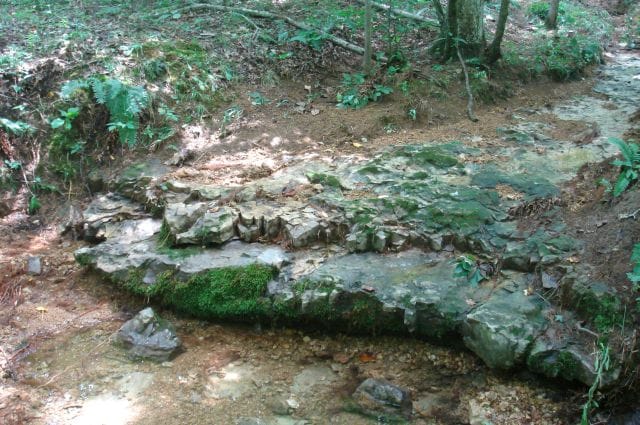 Sugartree Falls Tract 31 photo 10