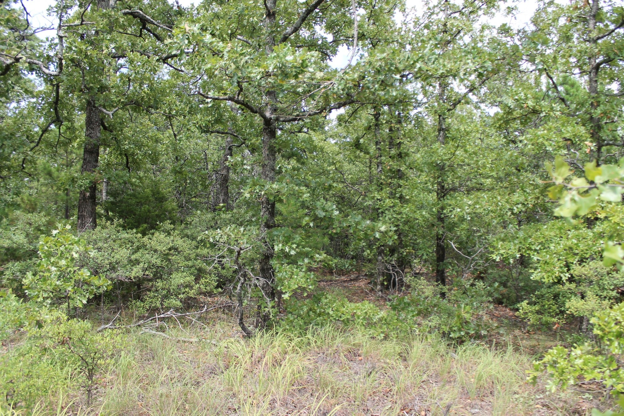 Trophy Ridge Phase III Tract 10 photo 2
