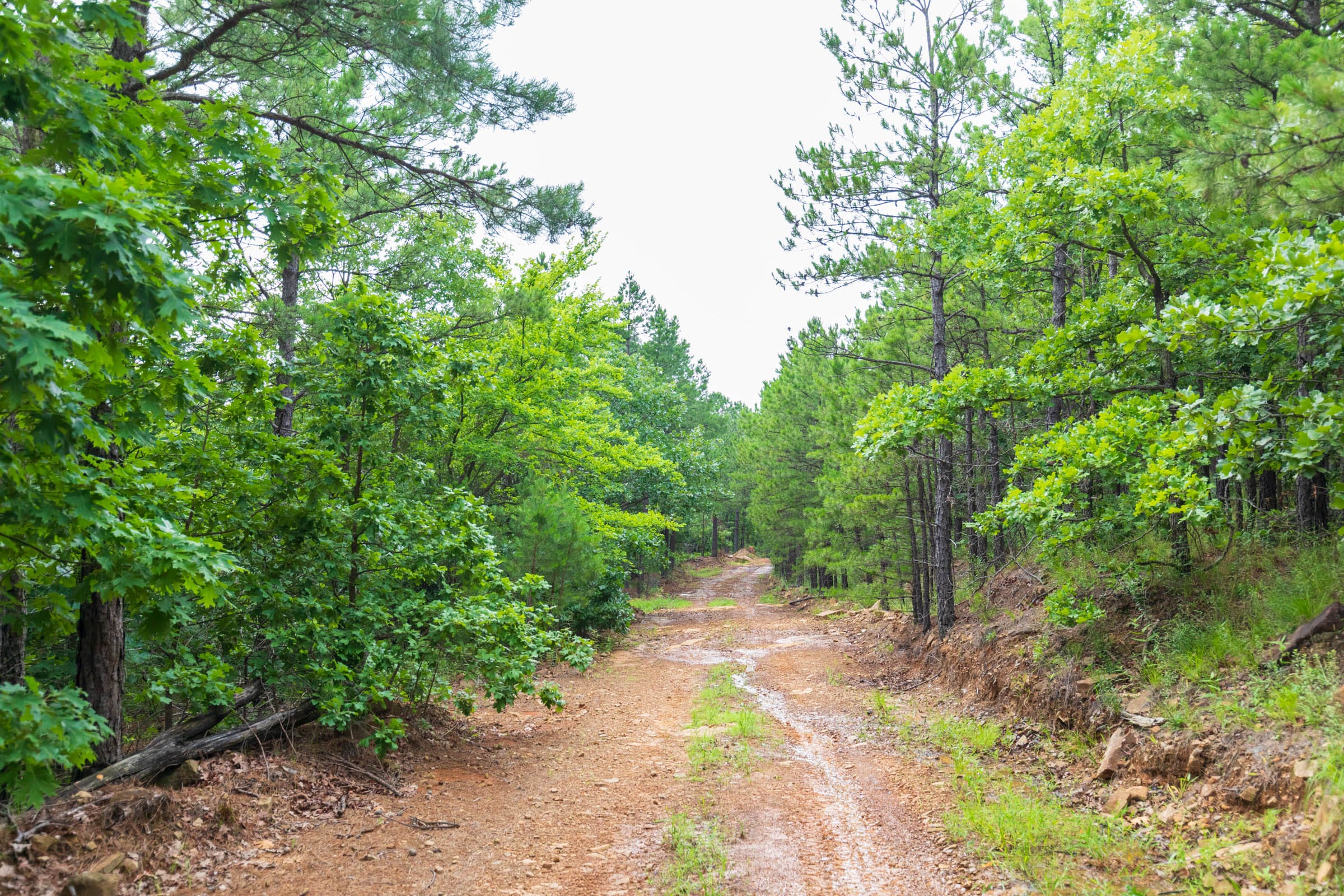 Stone Bridge Phase VI Tract 441 photo 1