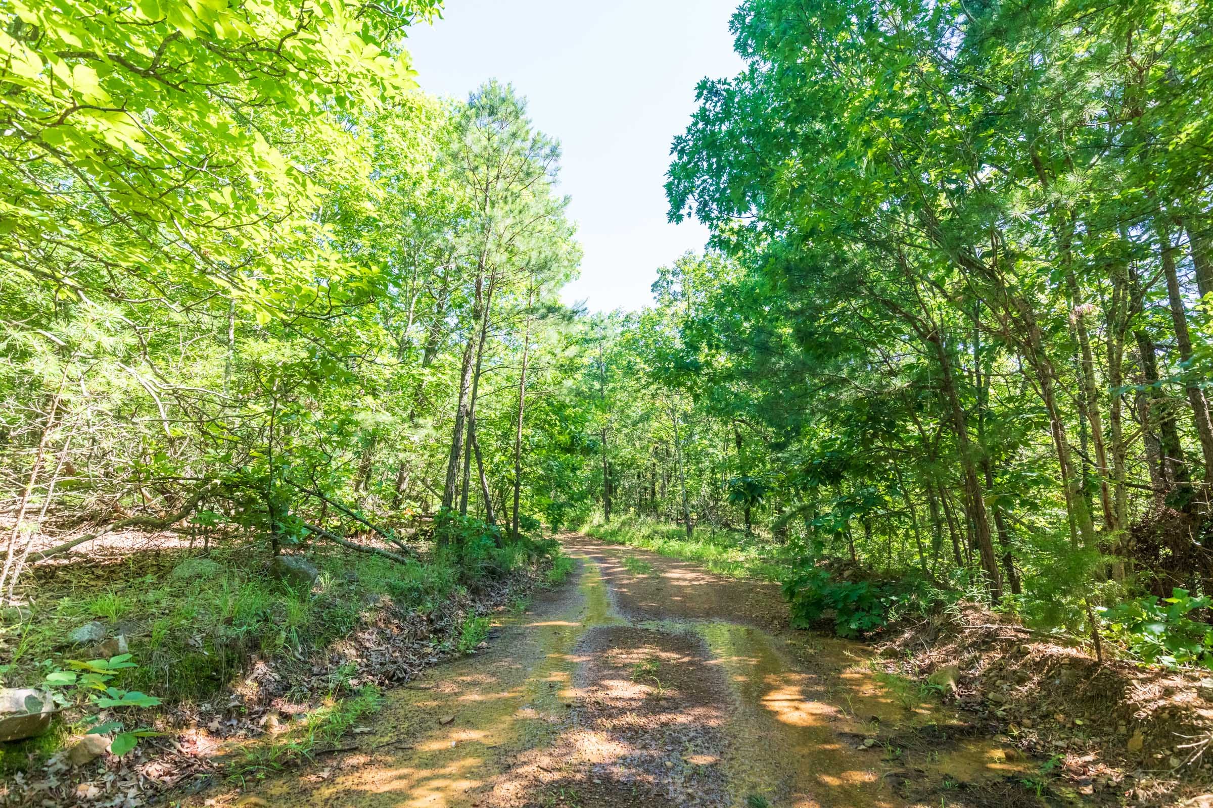 Stone Bridge Phase VI Tract 441 photo 6