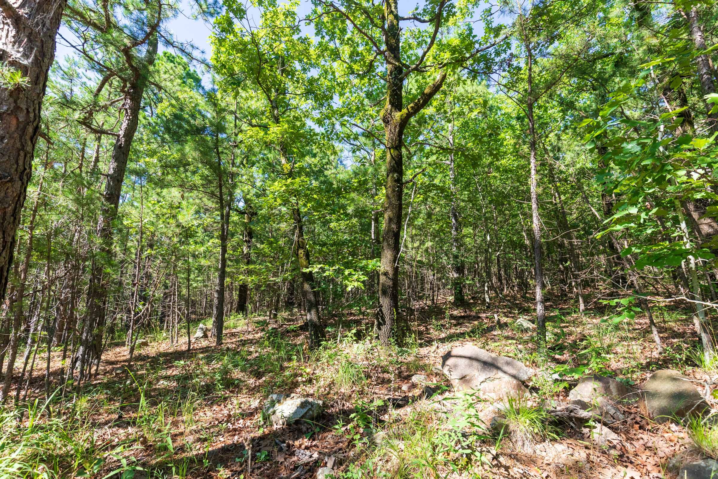 Stone Bridge Phase VI Tract 441 photo 10