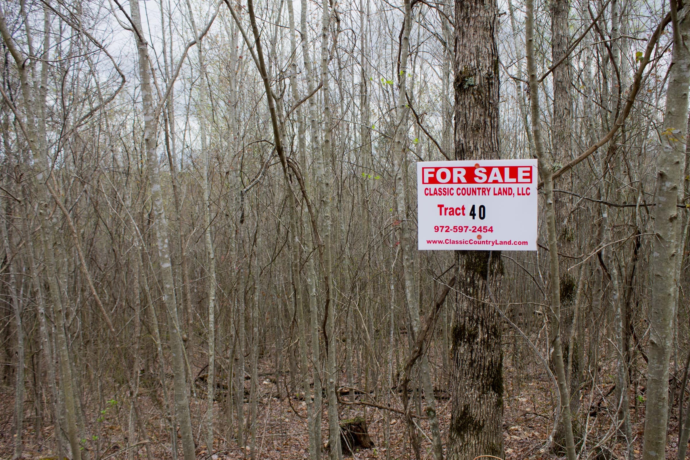 Hidden Hills Tract 40 photo 1
