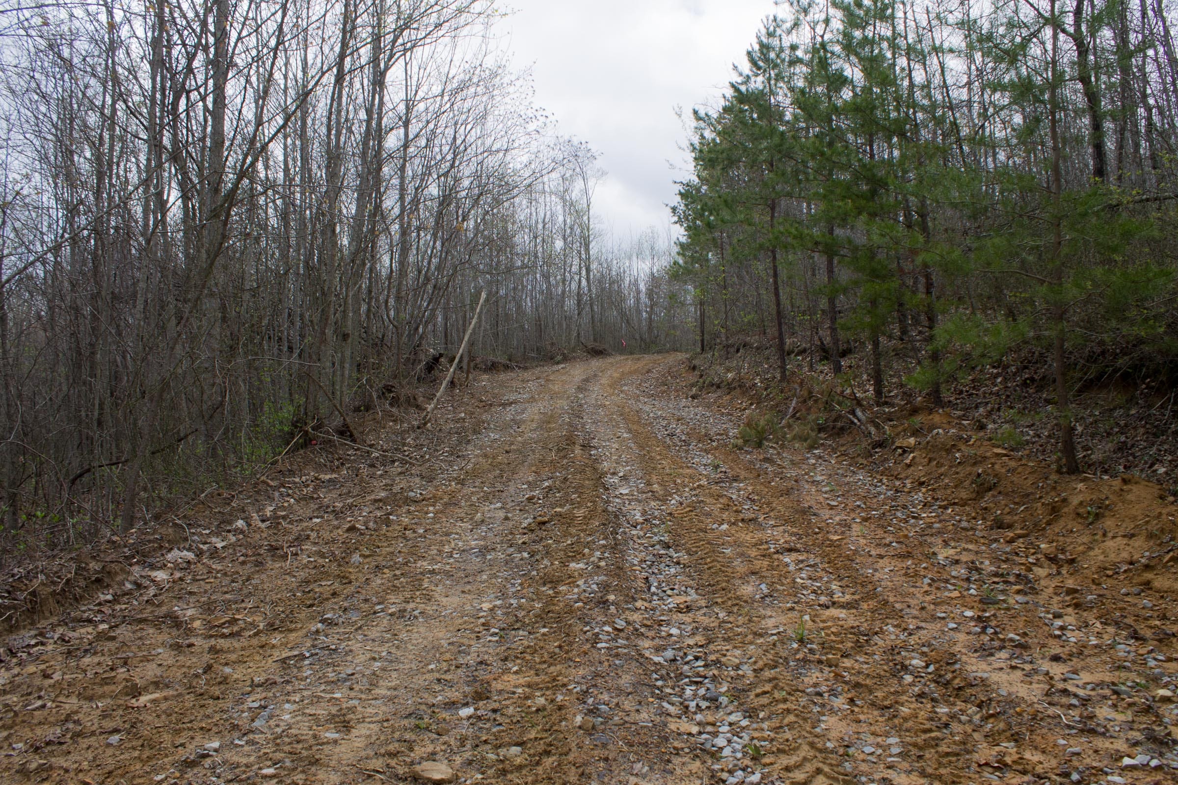 Hidden Hills Tract 40 photo 2