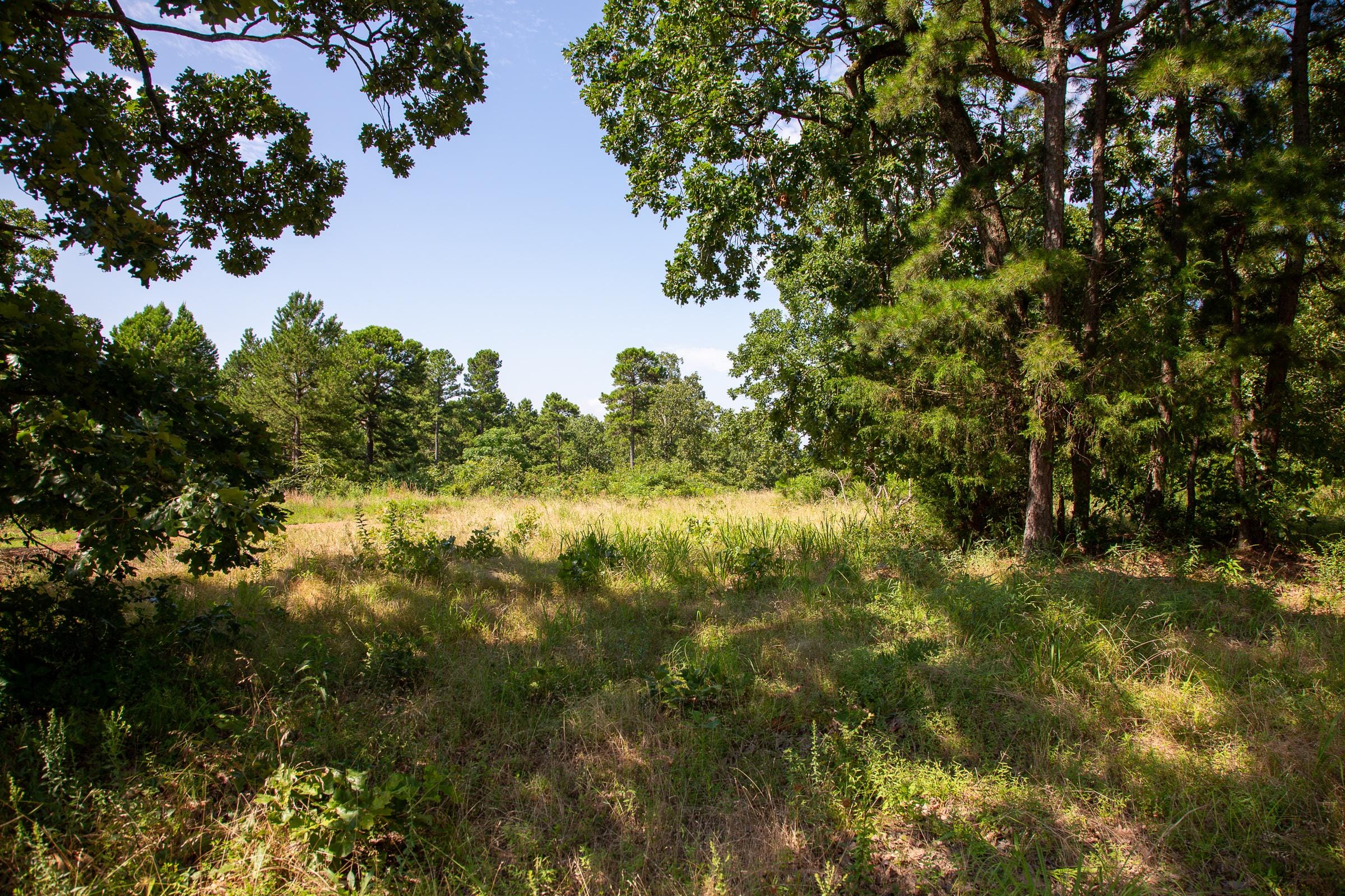 Tyler Stone Ranch Tract 26 photo 1