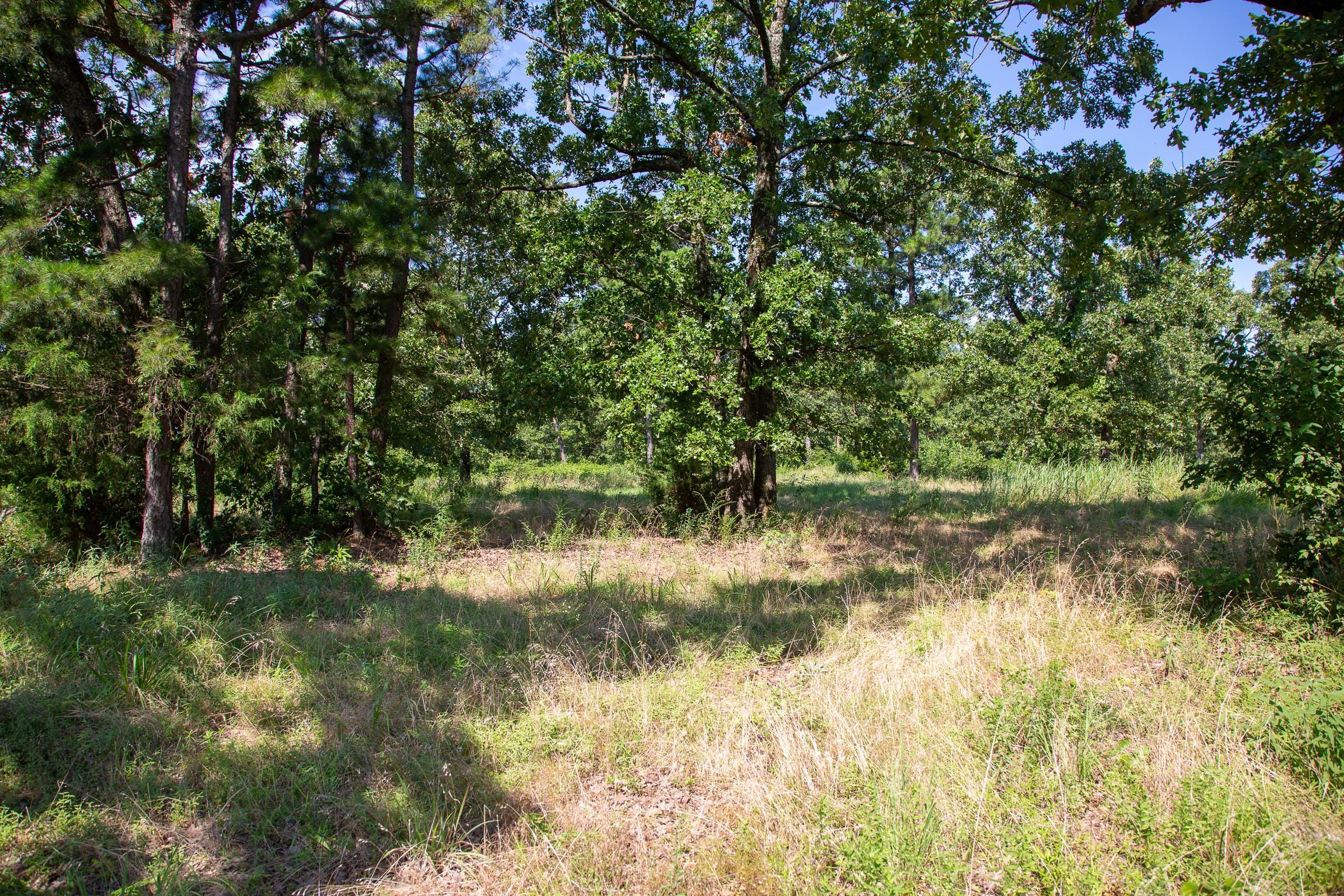 Tyler Stone Ranch Tract 26 photo 2