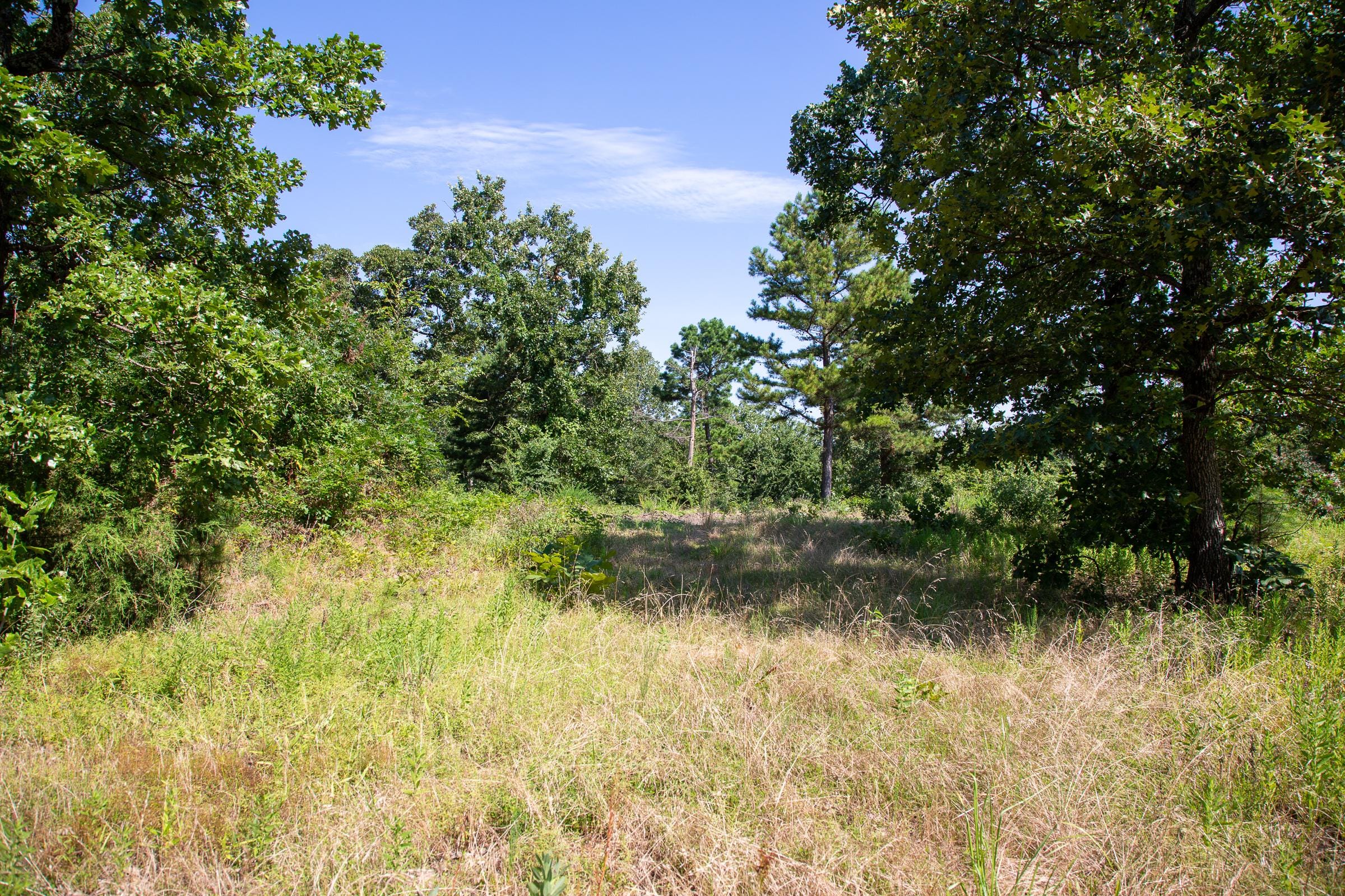 Tyler Stone Ranch Tract 26 photo 3