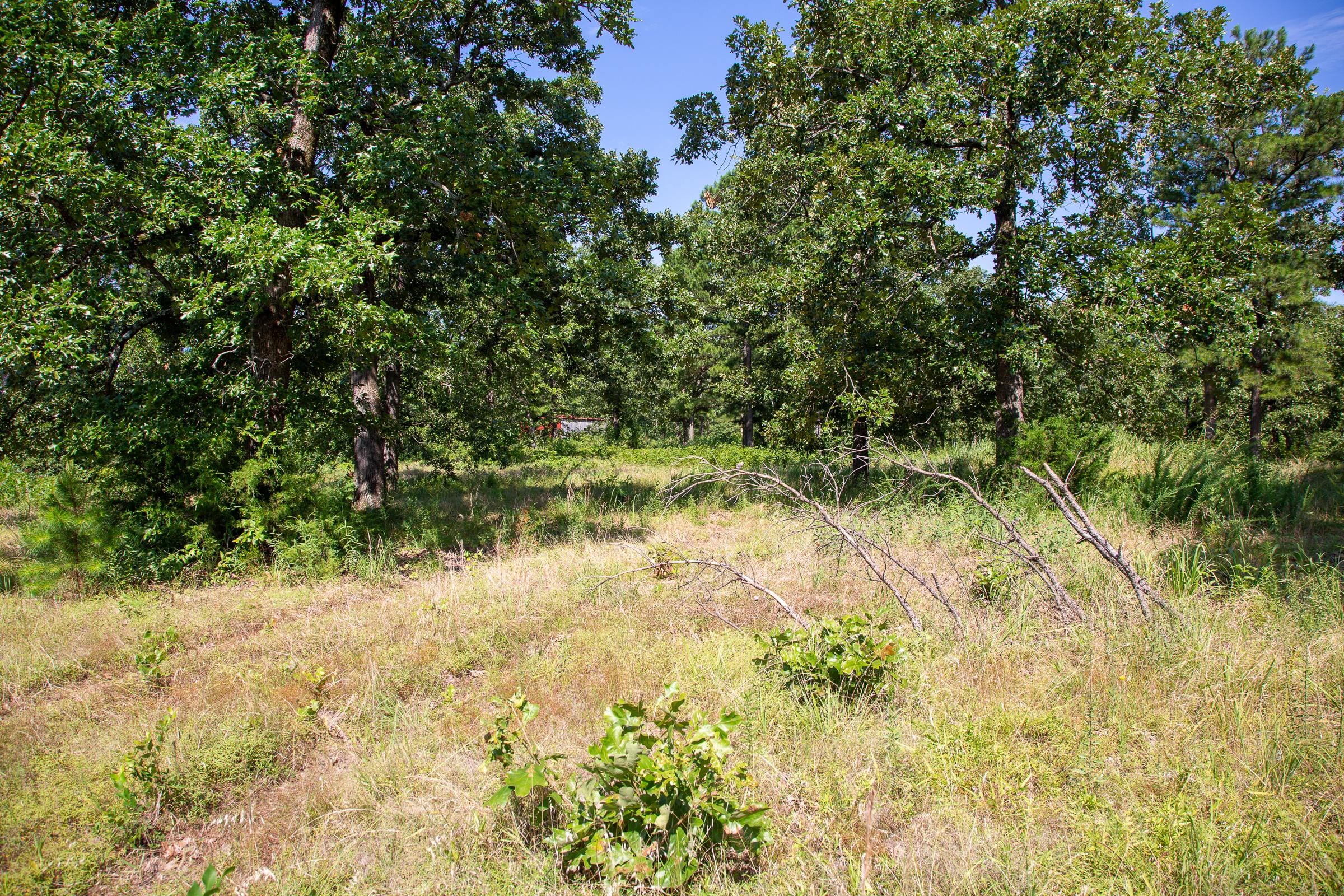 Tyler Stone Ranch Tract 26 photo 5