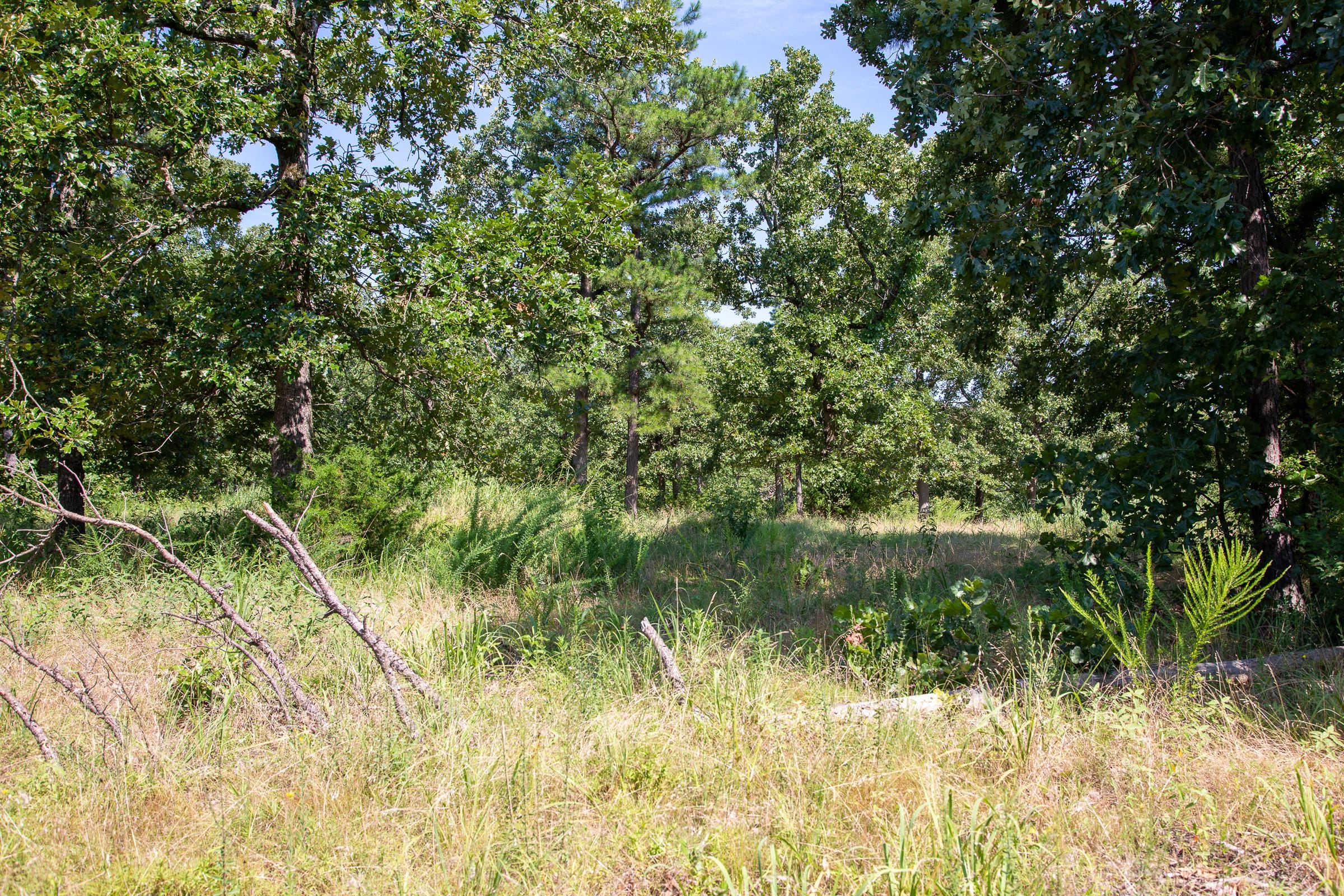 Tyler Stone Ranch Tract 26 photo 6