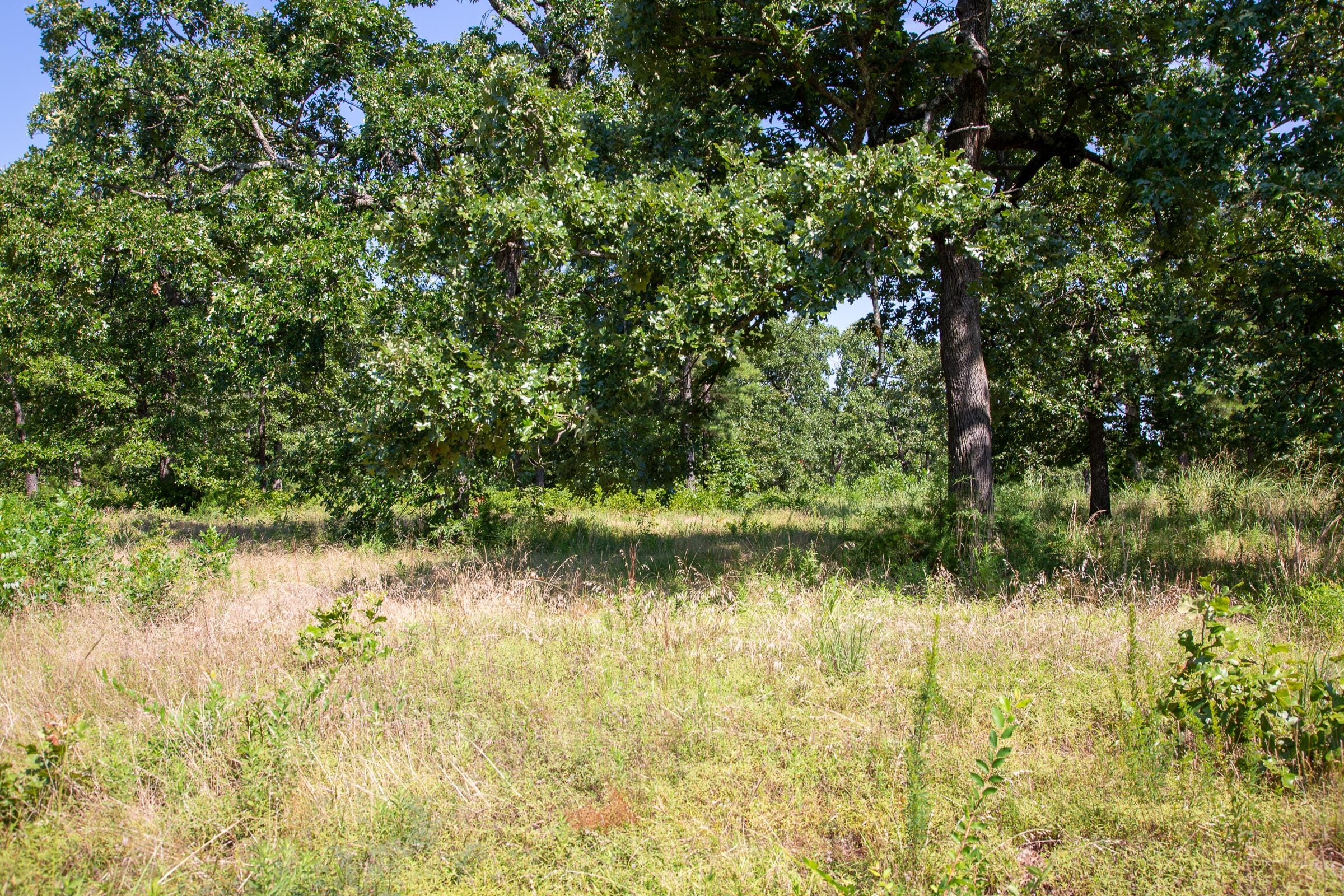 Tyler Stone Ranch Tract 26 photo 7