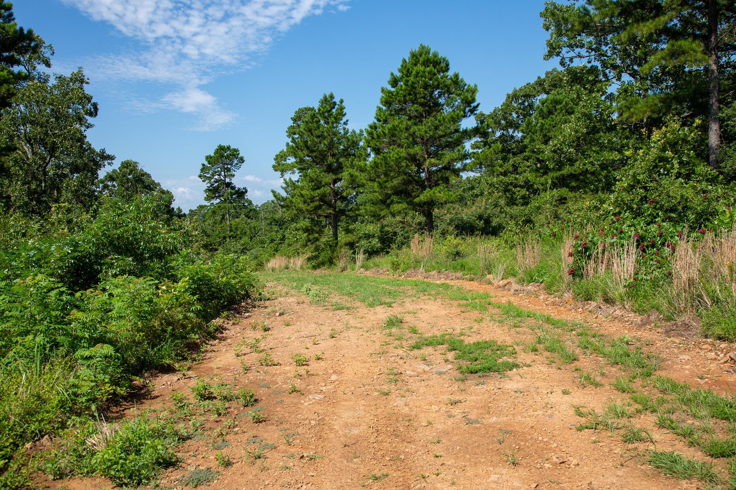 Tyler Stone Ranch Tract 26 photo 8