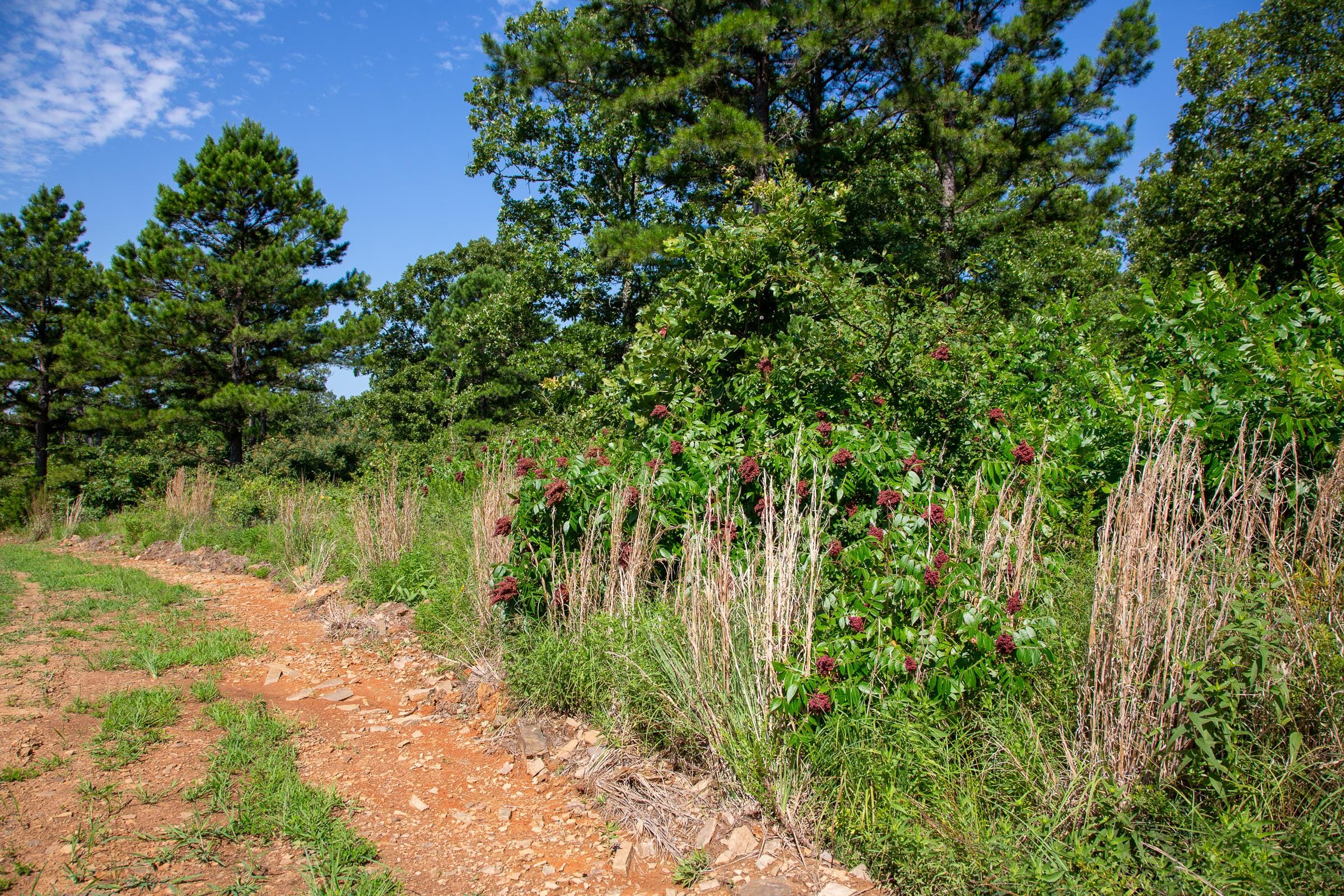 Tyler Stone Ranch Tract 26 photo 9