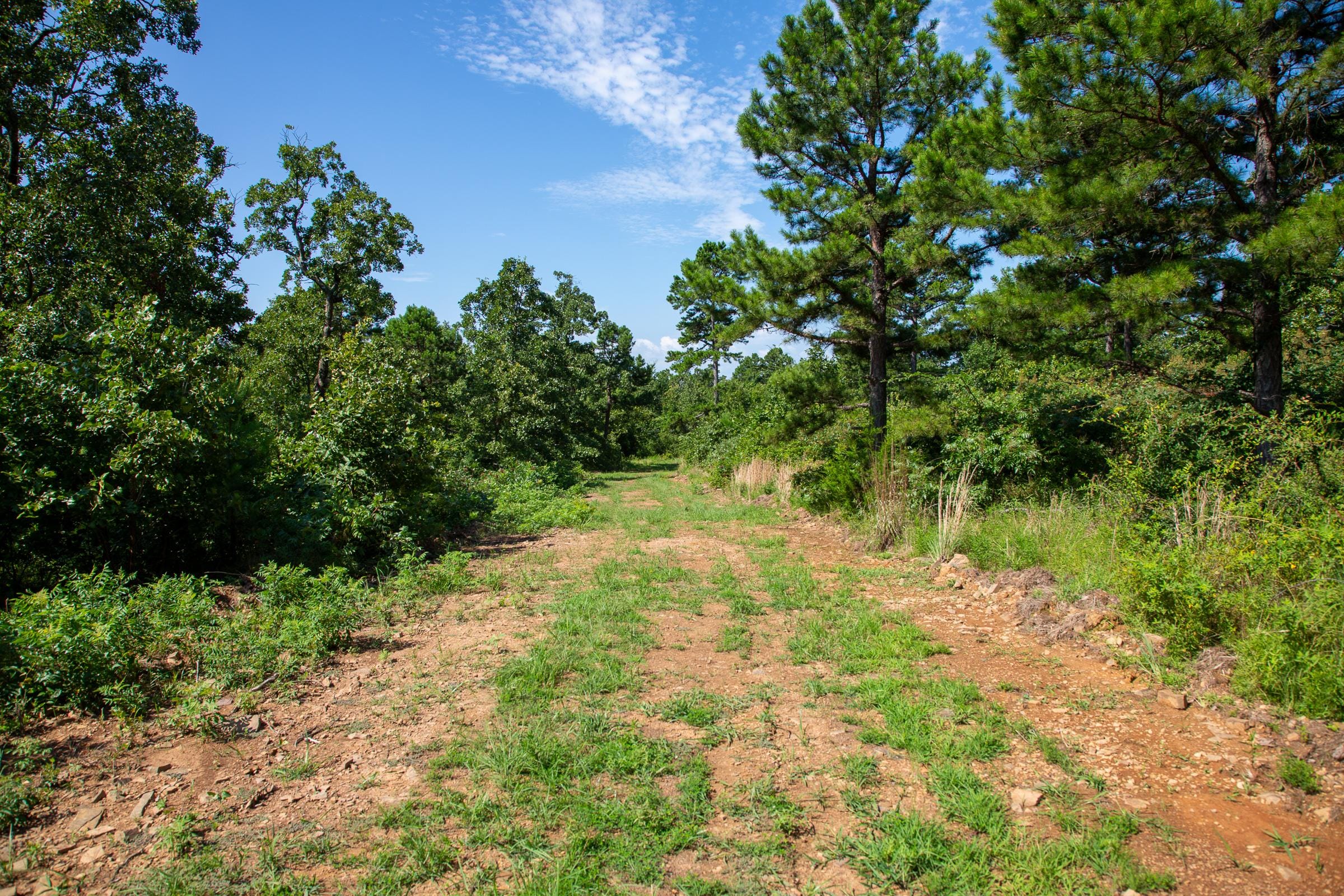 Tyler Stone Ranch Tract 26 photo 10