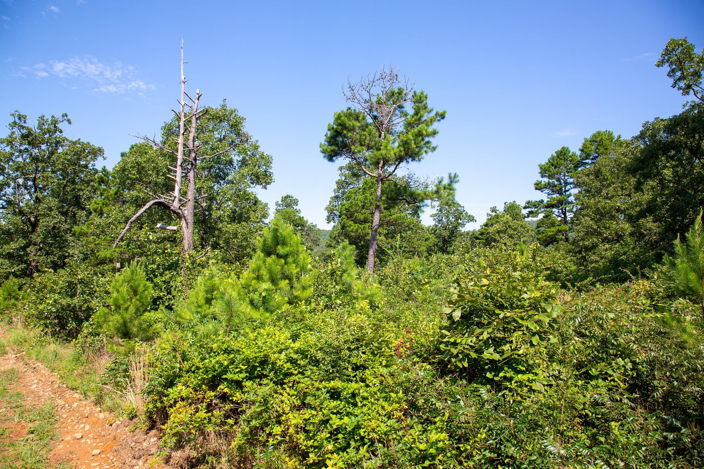 Tyler Stone Ranch Tract 26 photo 12