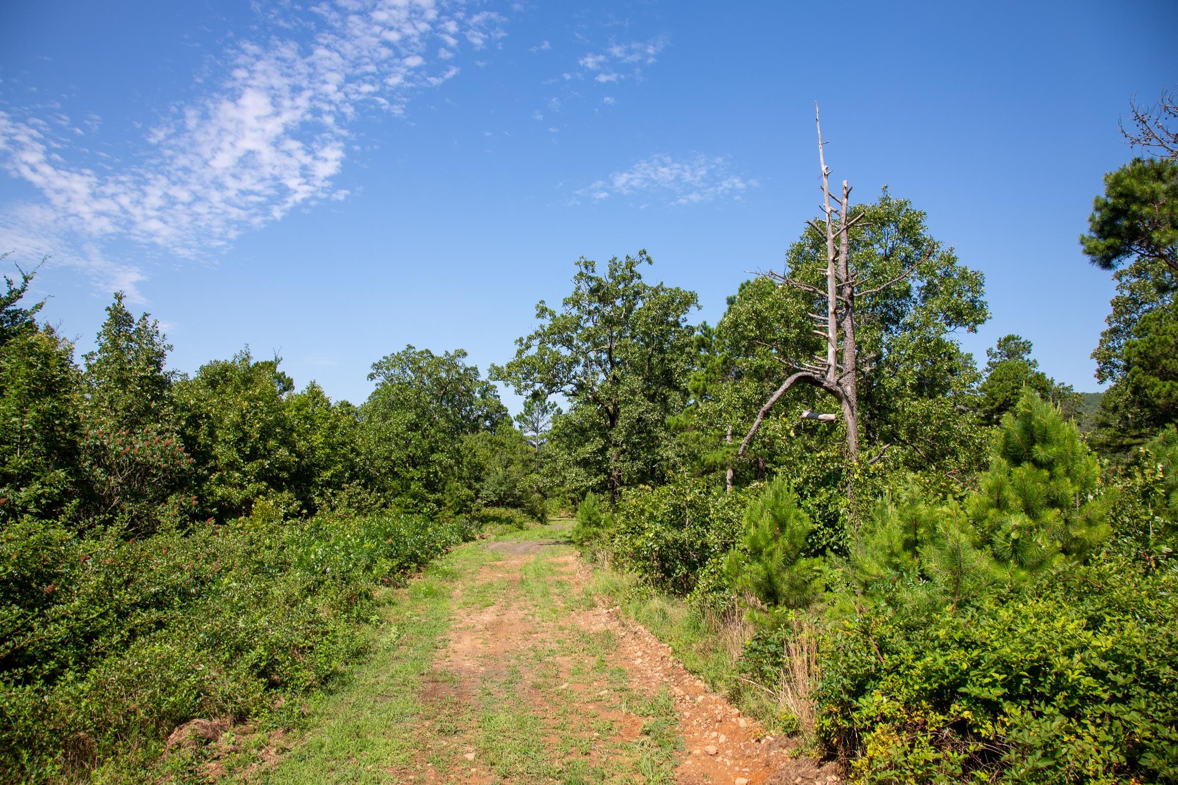 Tyler Stone Ranch Tract 26 photo 14