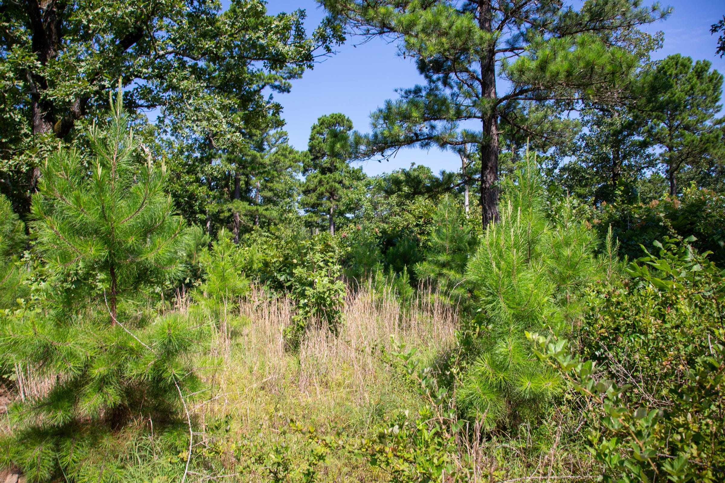 Tyler Stone Ranch Tract 26 photo 15