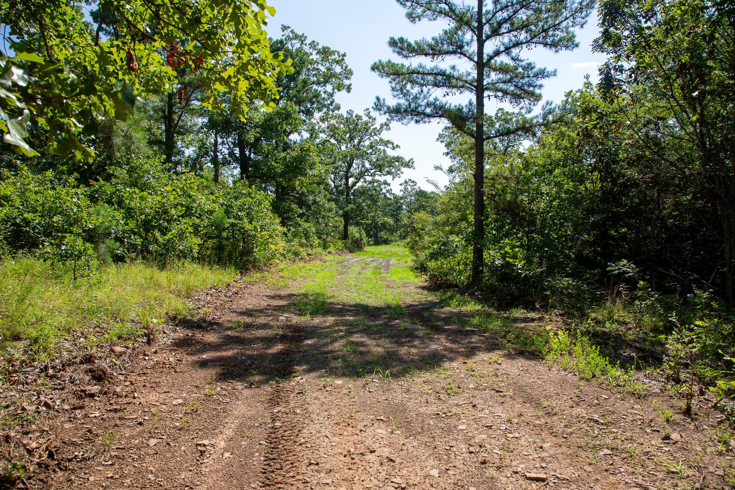 Tyler Stone Ranch Tract 26 photo 17