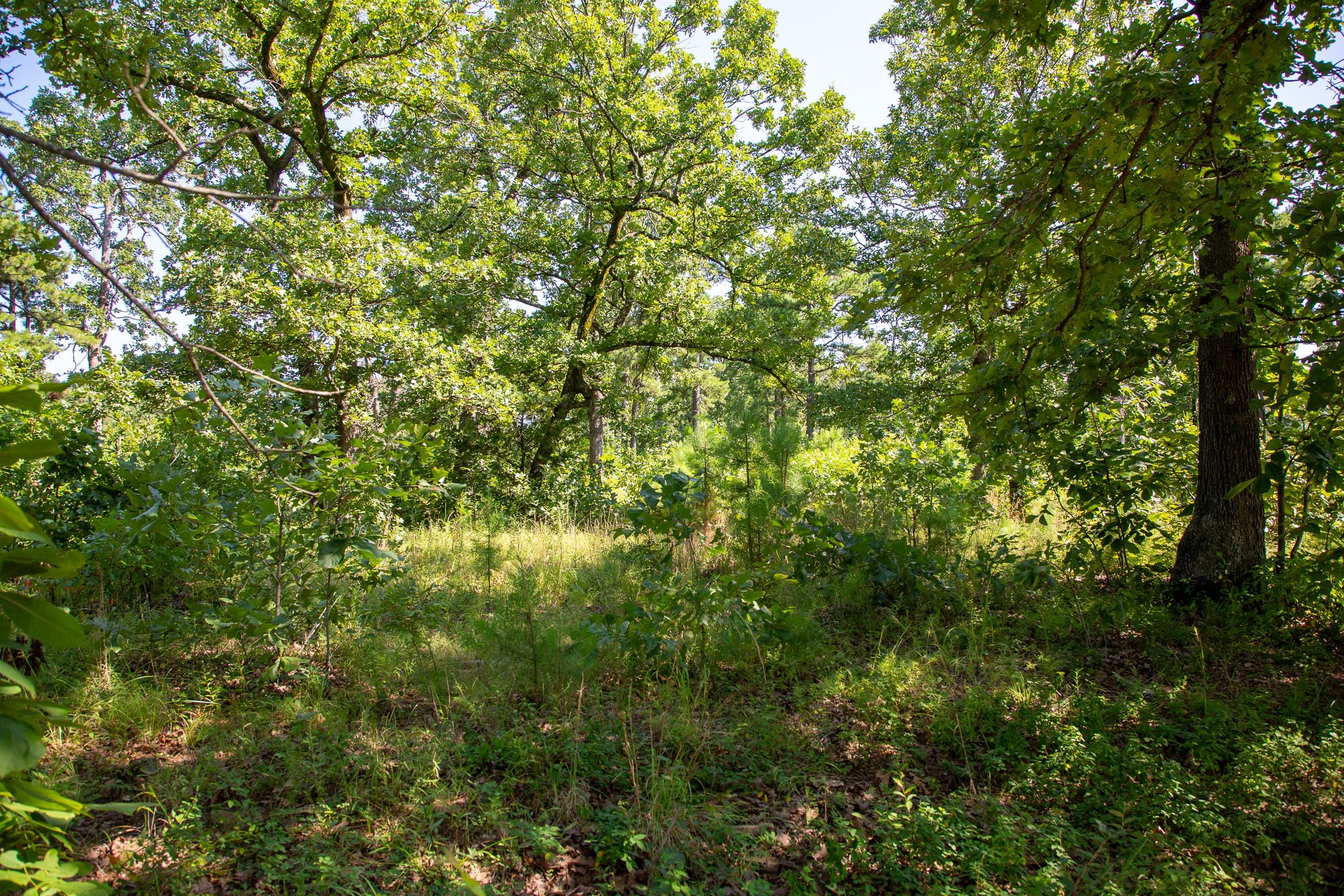 Tyler Stone Ranch Tract 26 photo 18