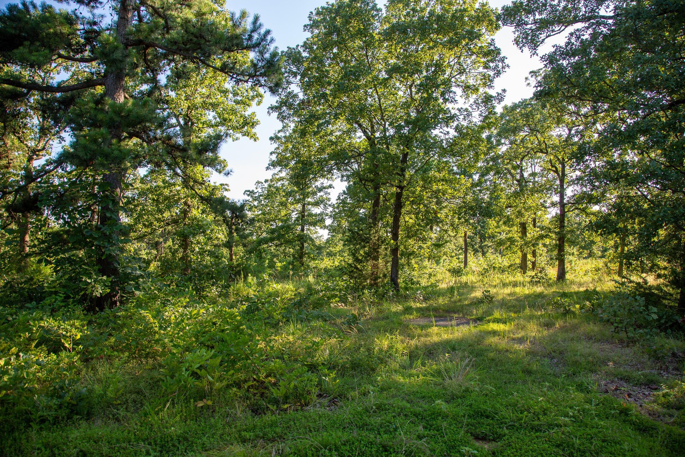 Tyler Stone Ranch Tract 26 photo 28