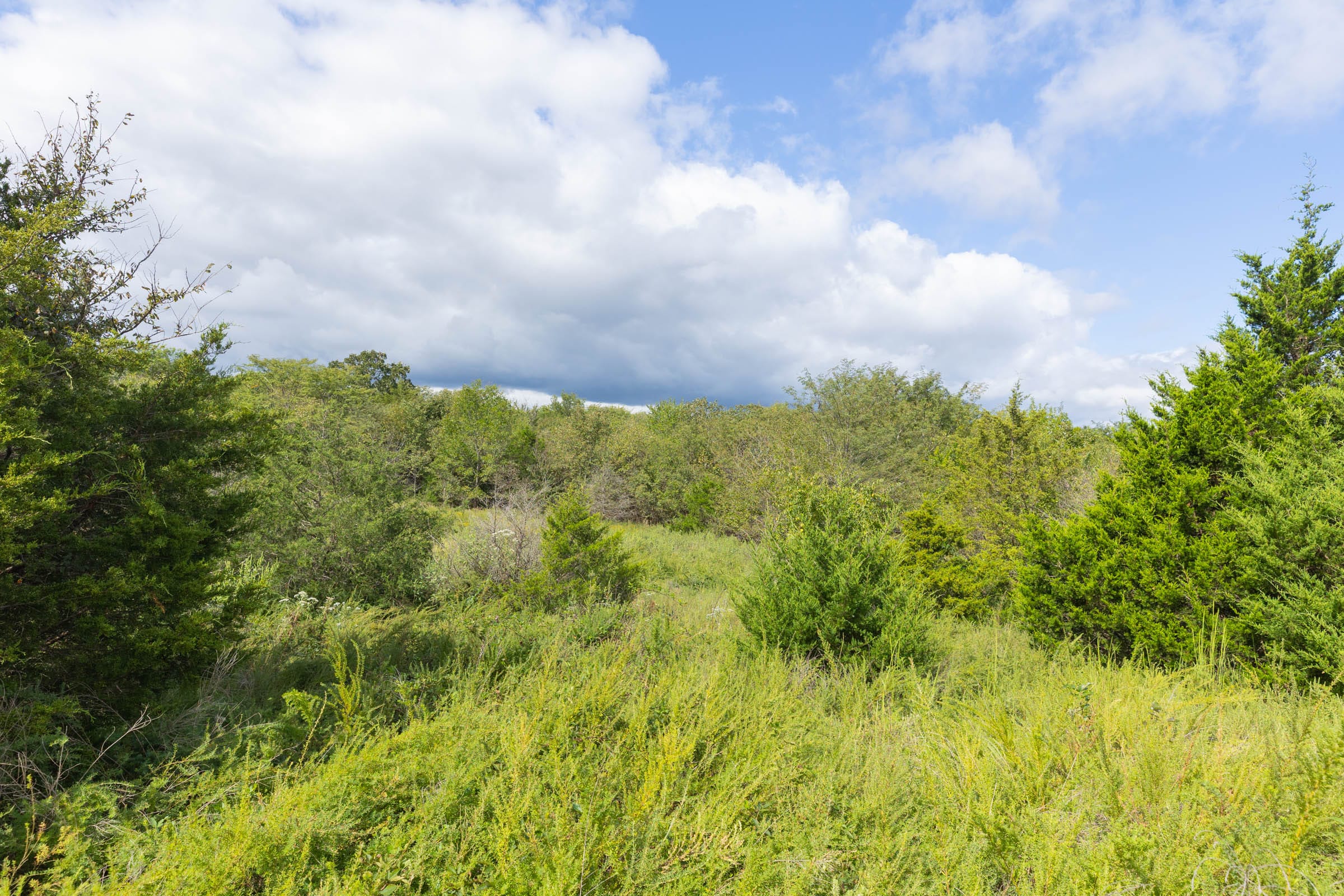 Reserves At Cattail Cove Phase II Tract 89 photo 19