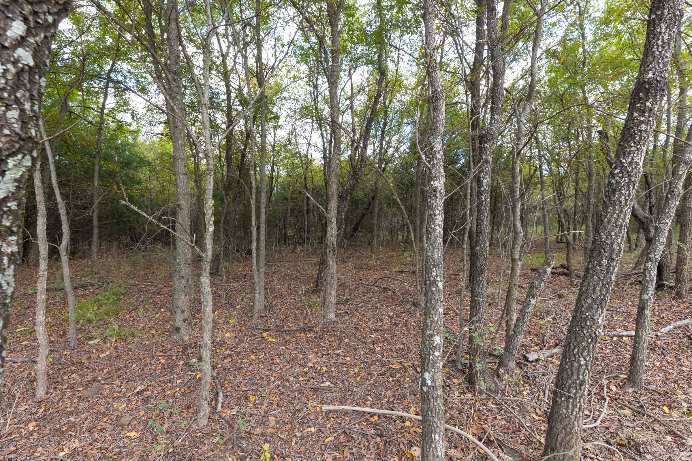 Reserves At Cattail Cove Phase II Tract 89 photo 13