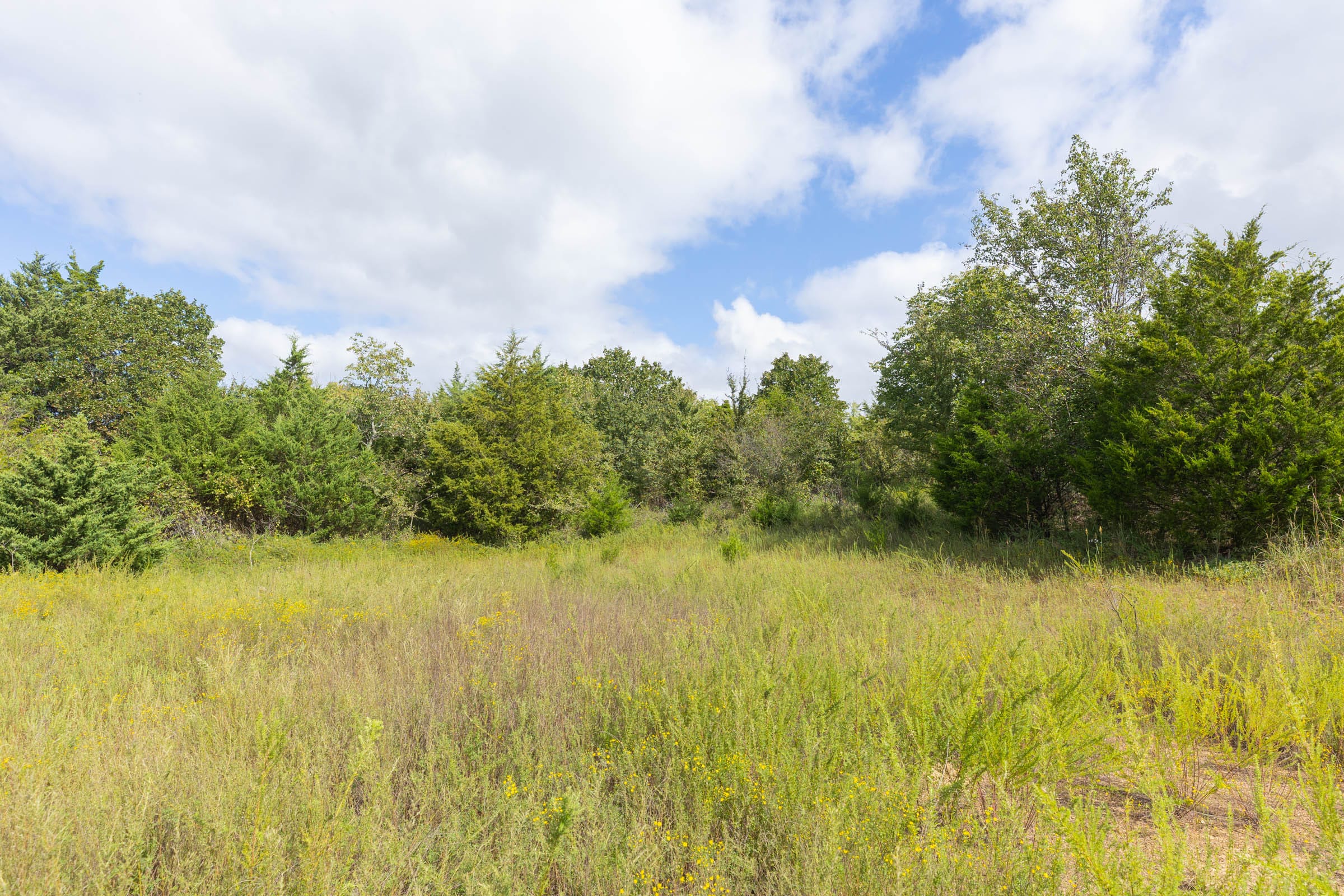Reserves At Cattail Cove Phase II Tract 89 photo 18