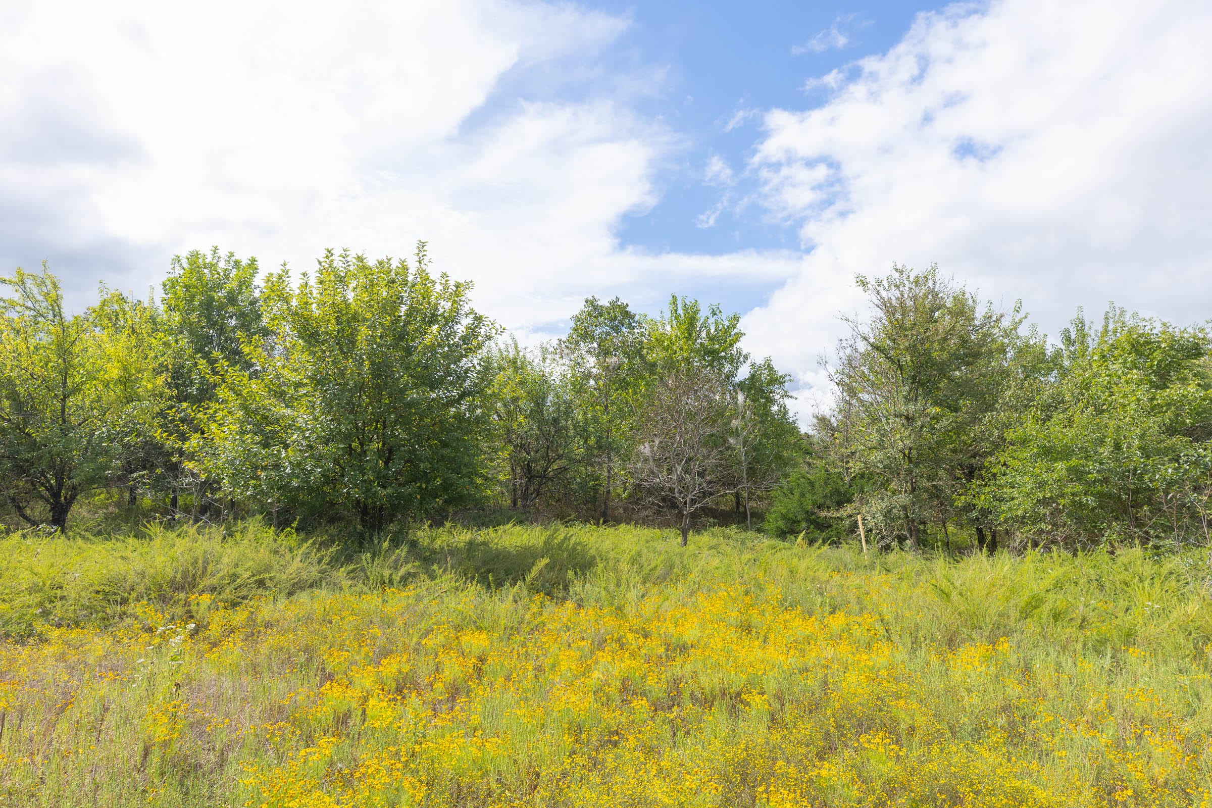 Reserves At Cattail Cove Phase II Tract 89 photo 16