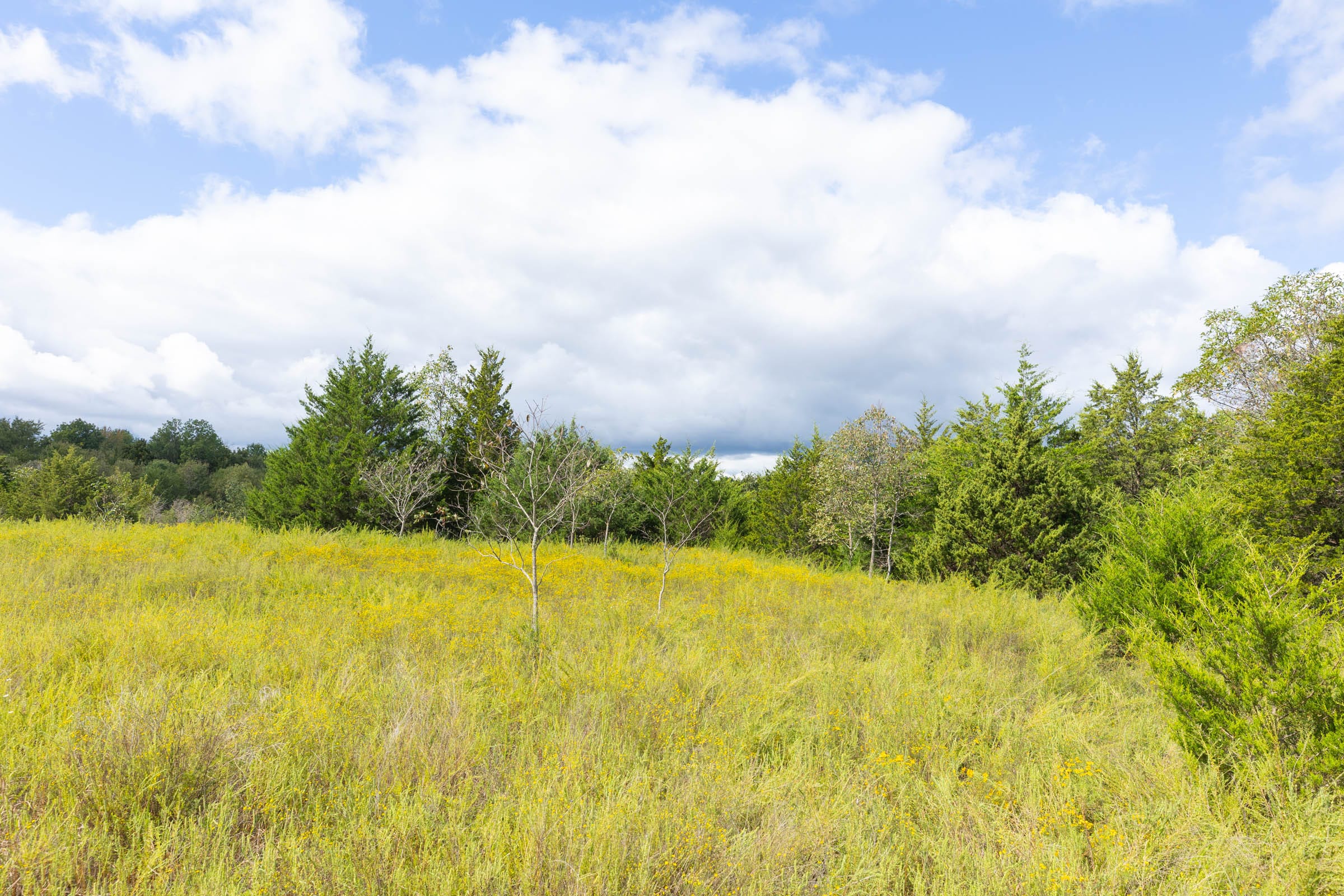 Reserves At Cattail Cove Phase II Tract 89 photo 15