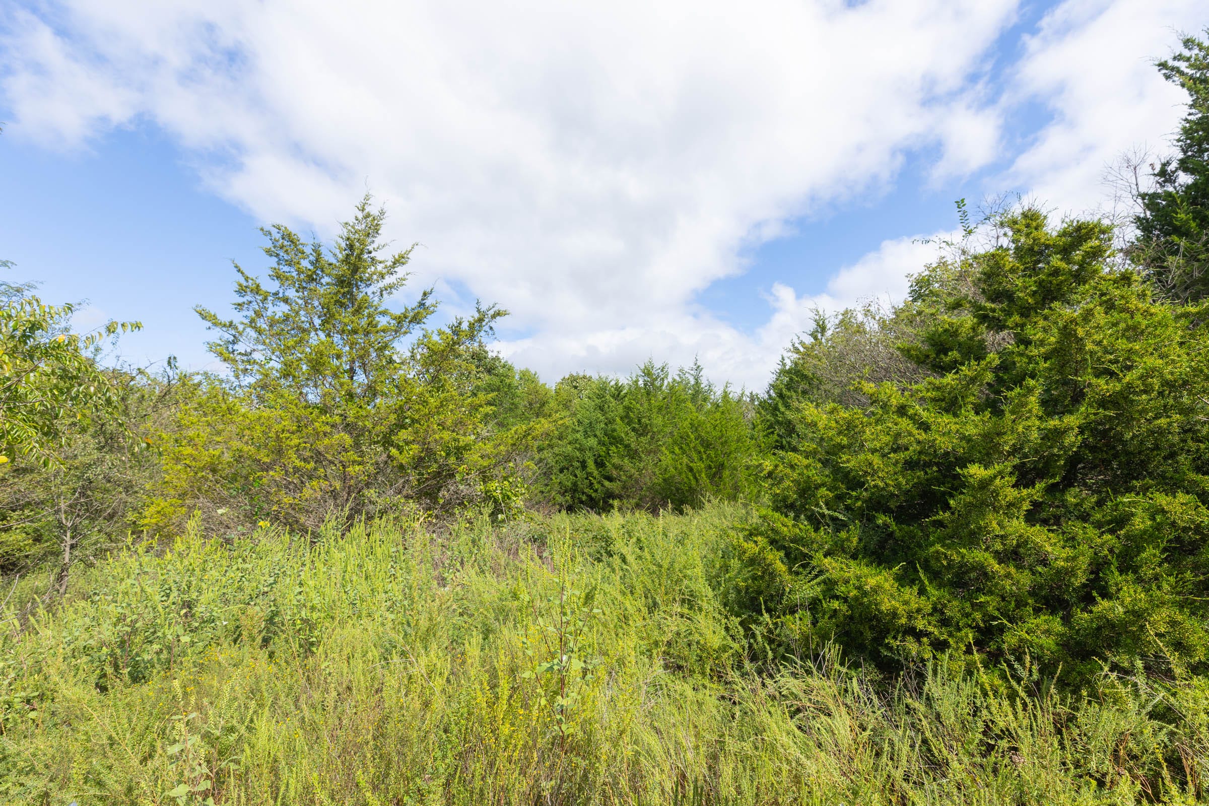 Reserves At Cattail Cove Phase II Tract 89 photo 14