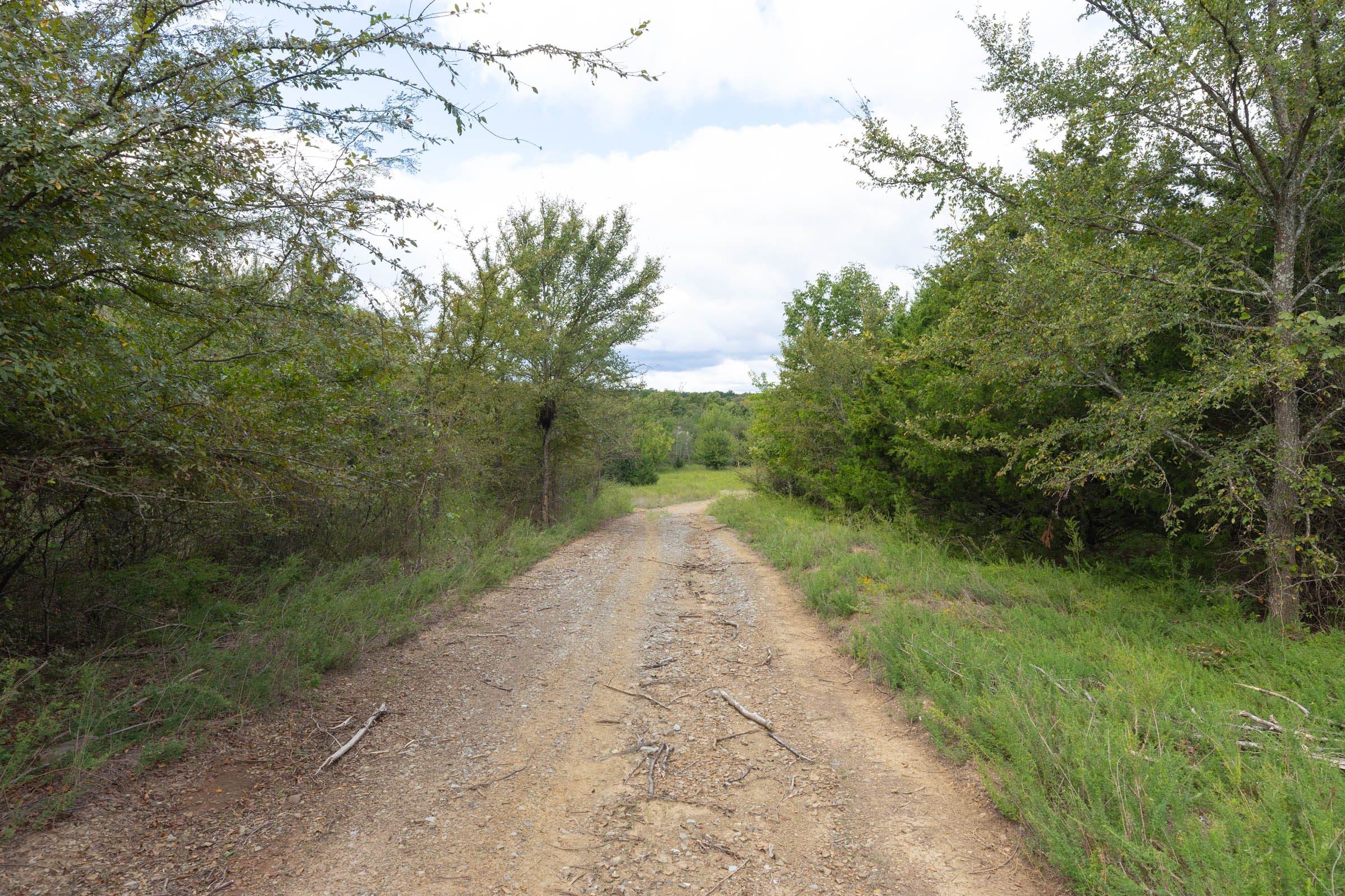 Reserves At Cattail Cove Phase II Tract 89 photo 4