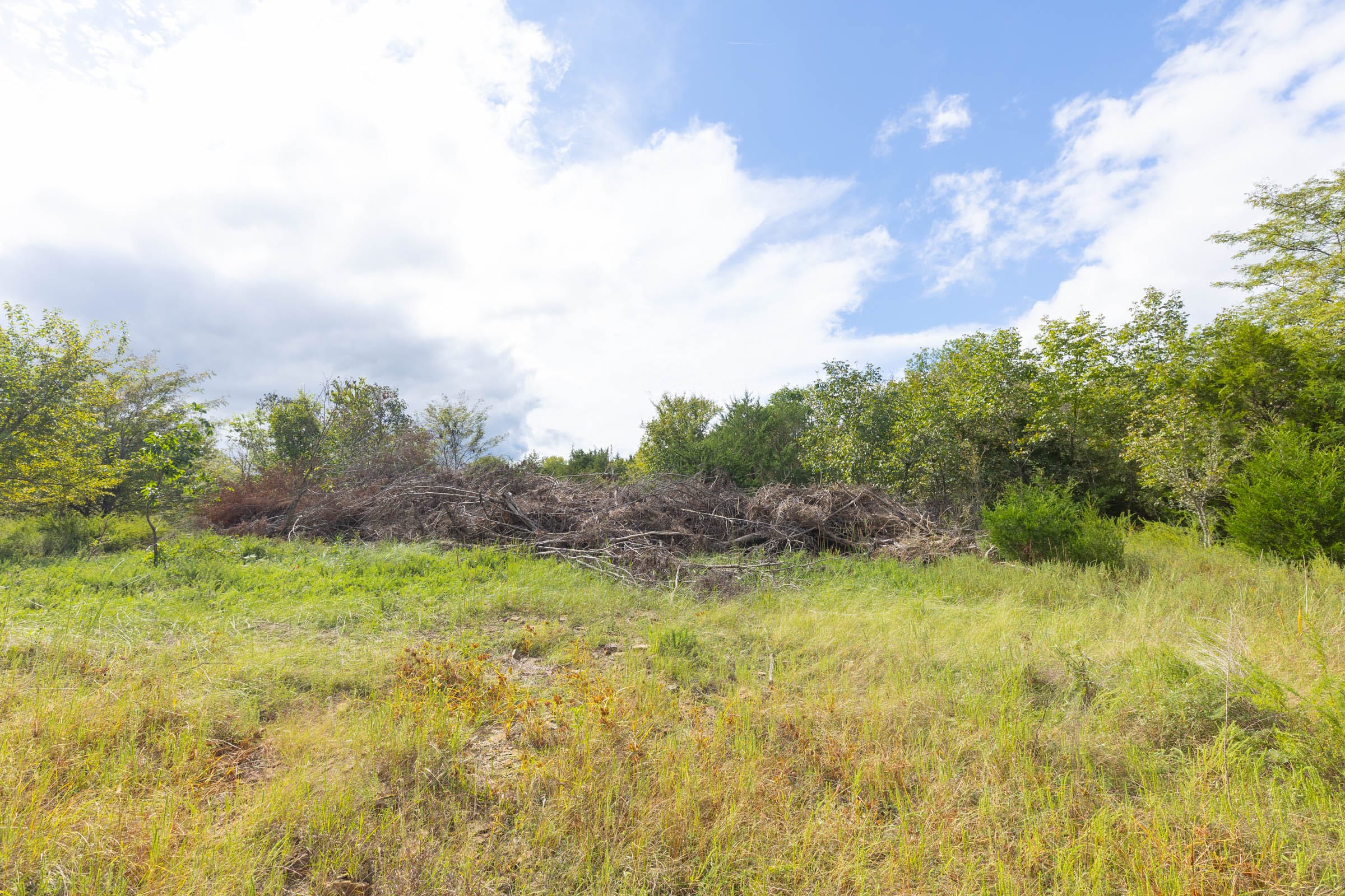Reserves At Cattail Cove Phase II Tract 89 photo 6