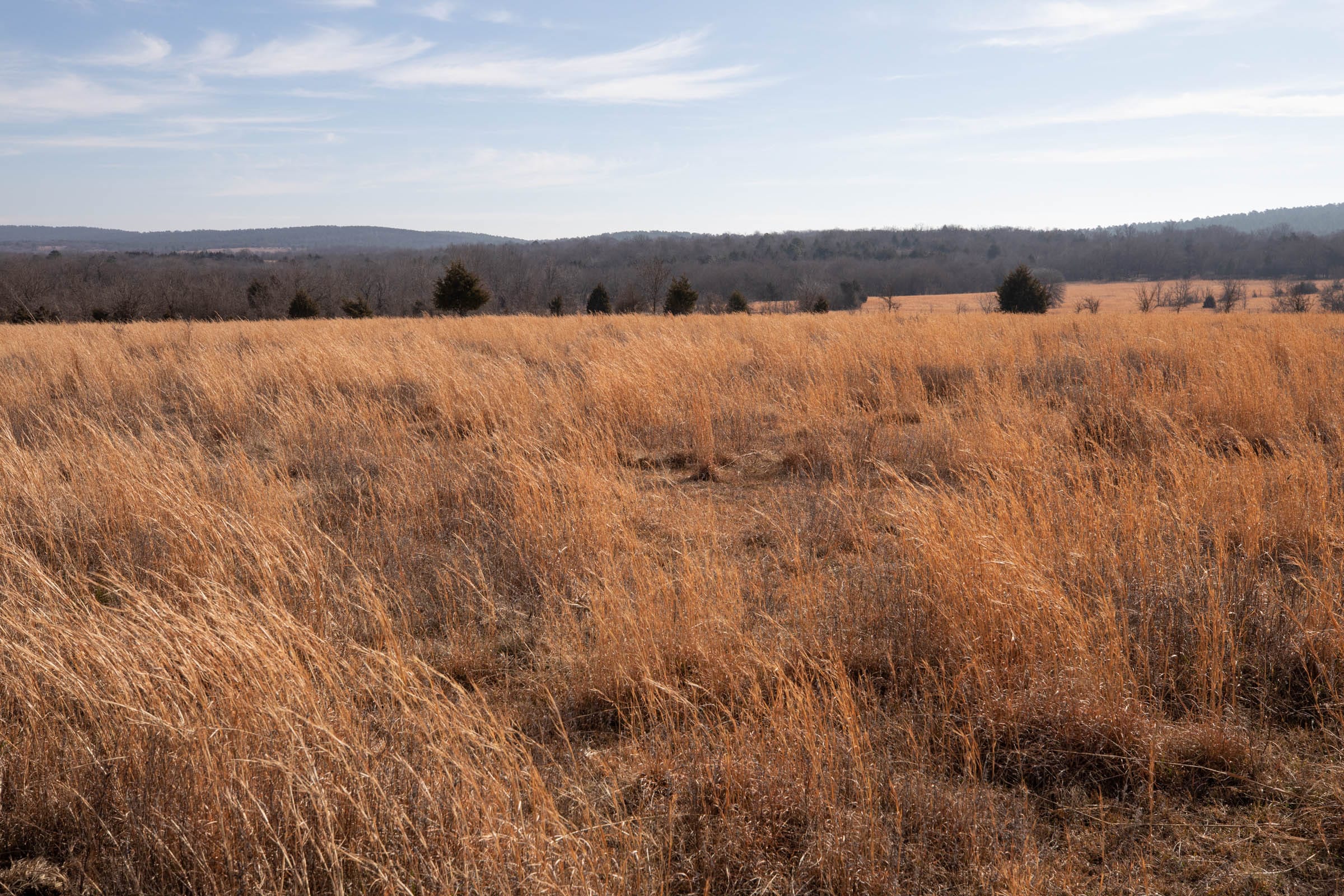 Painted Horse Tract 29 photo 2