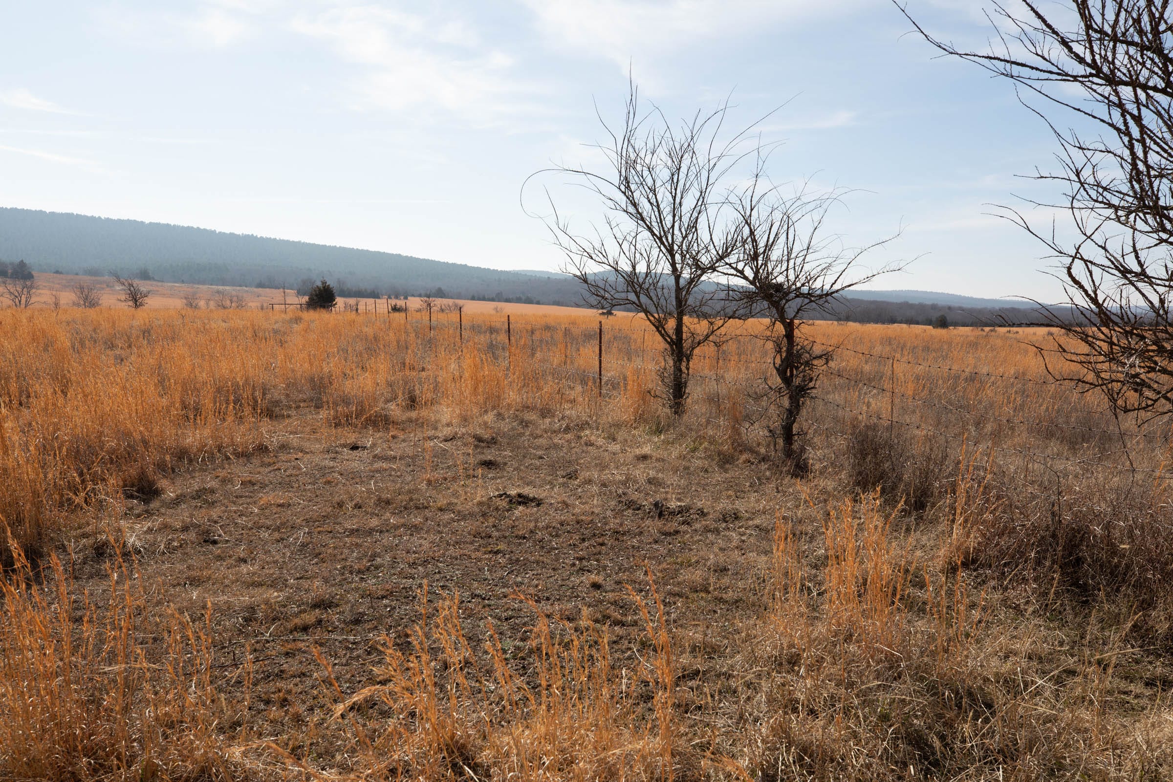 Painted Horse Tract 29 photo 3