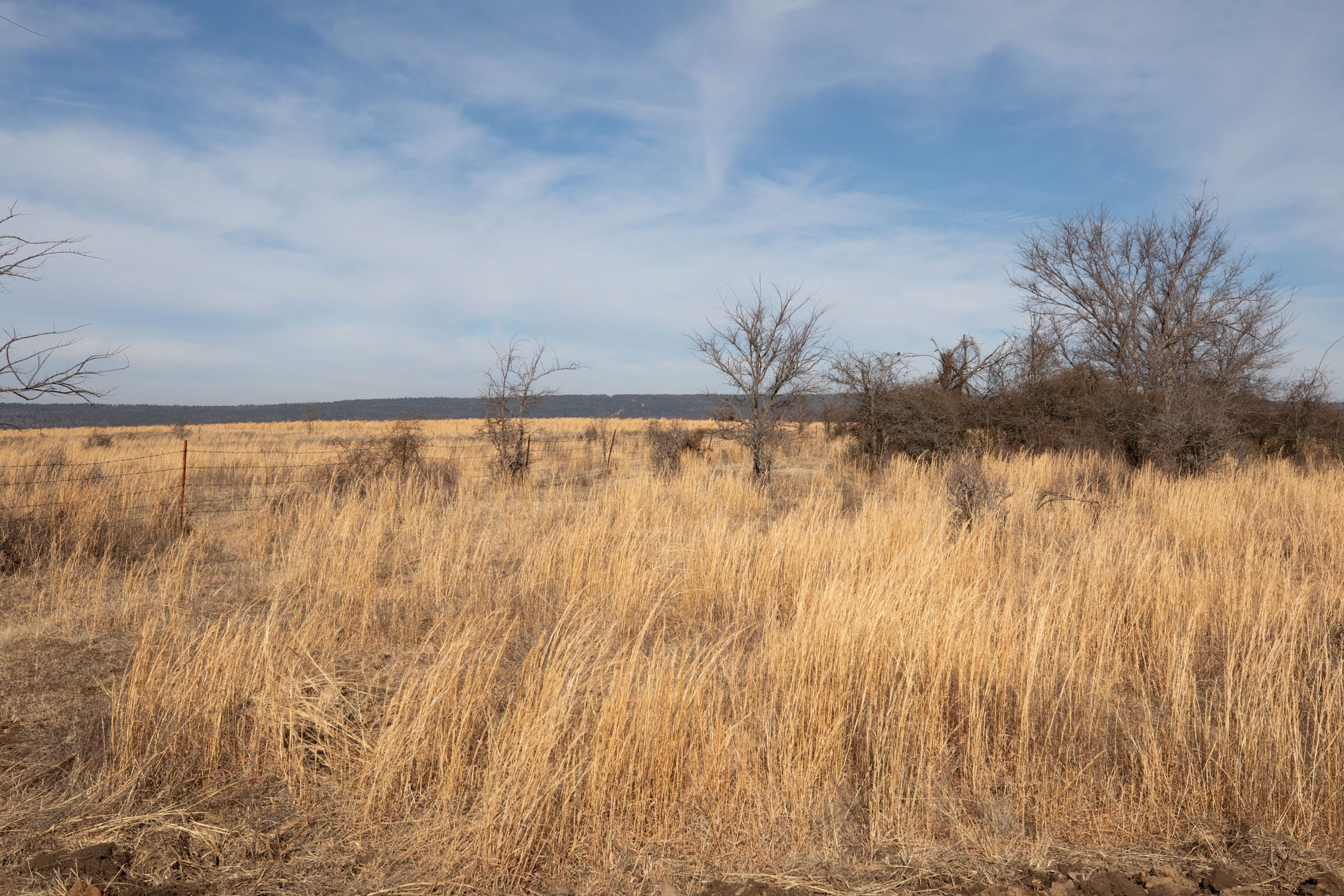 Painted Horse Tract 29 photo 4