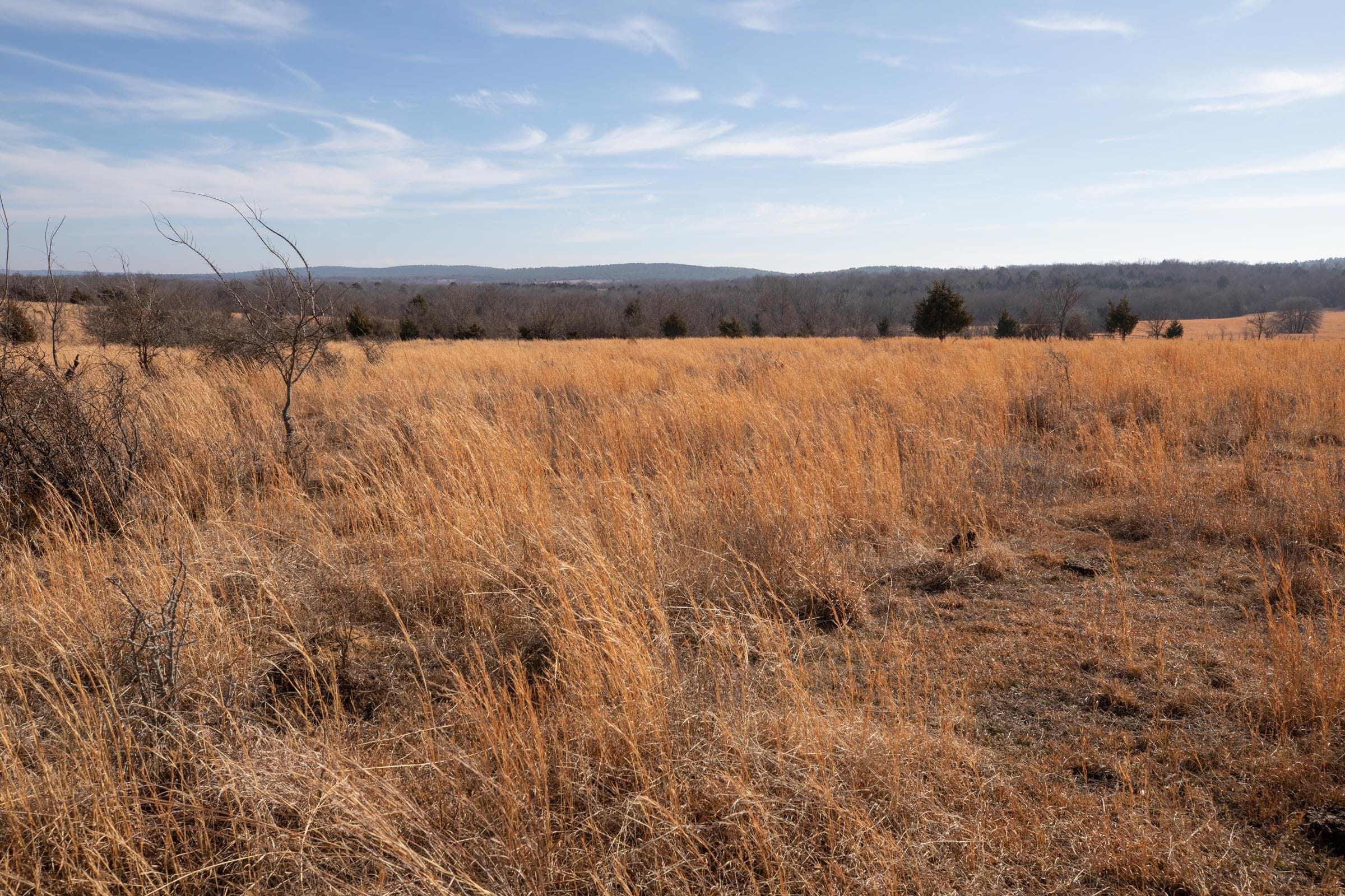 Painted Horse Tract 29 photo 6