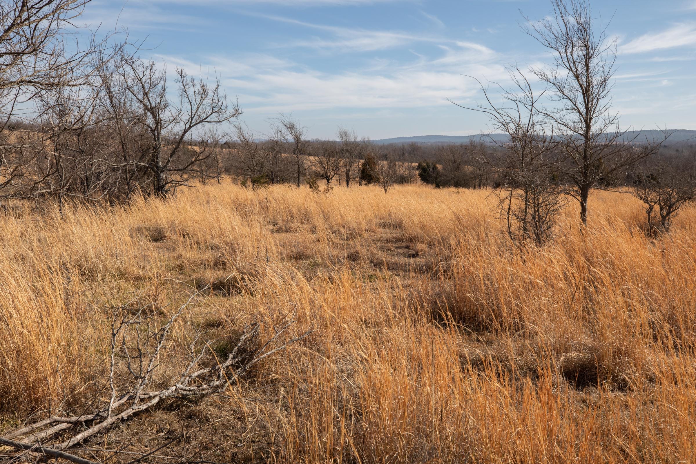 Painted Horse Tract 29 photo 7