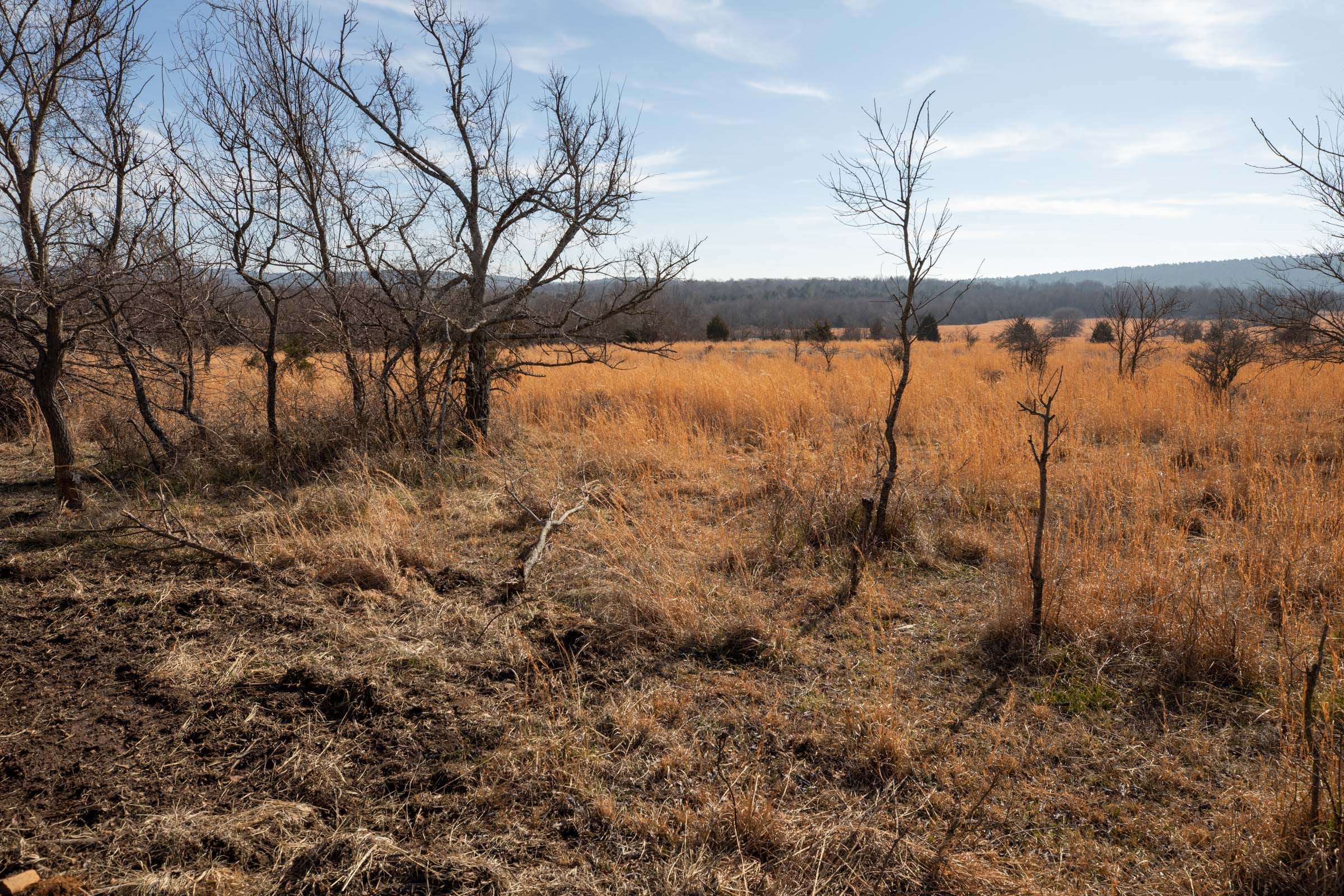 Painted Horse Tract 29 photo 8