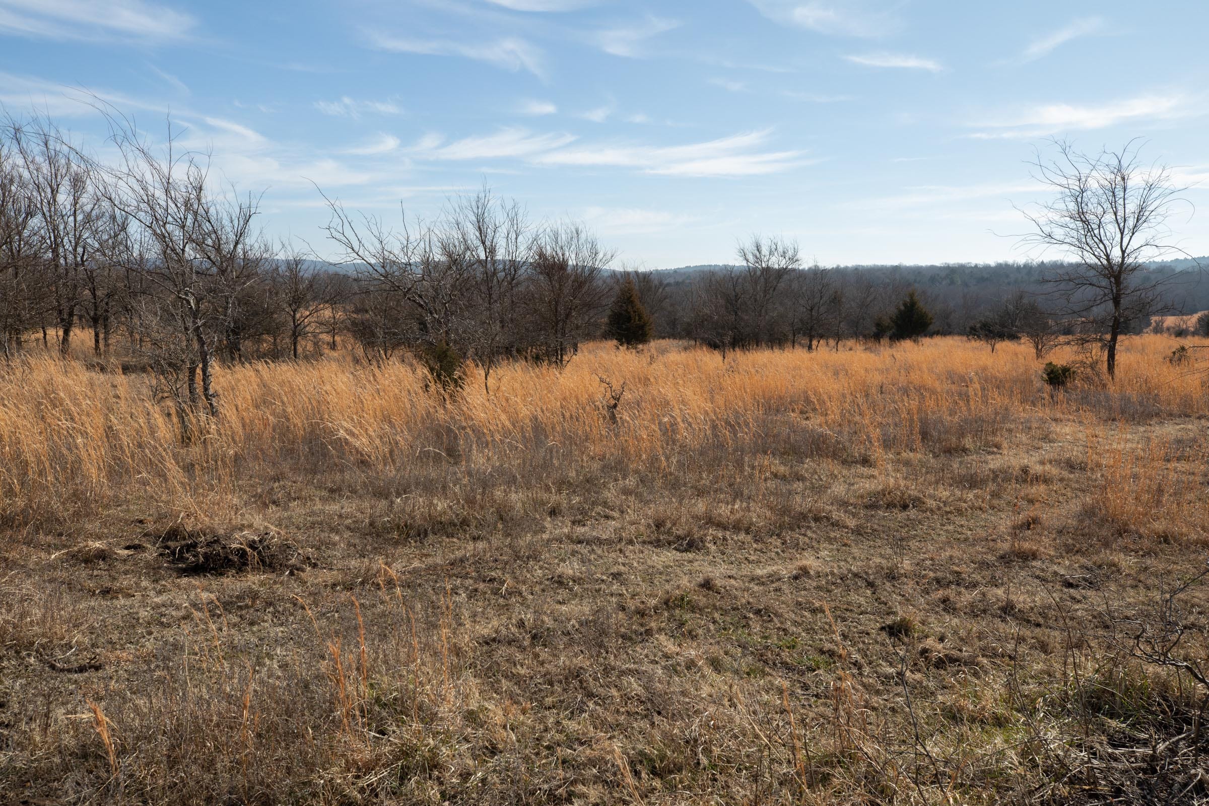 Painted Horse Tract 29 photo 10
