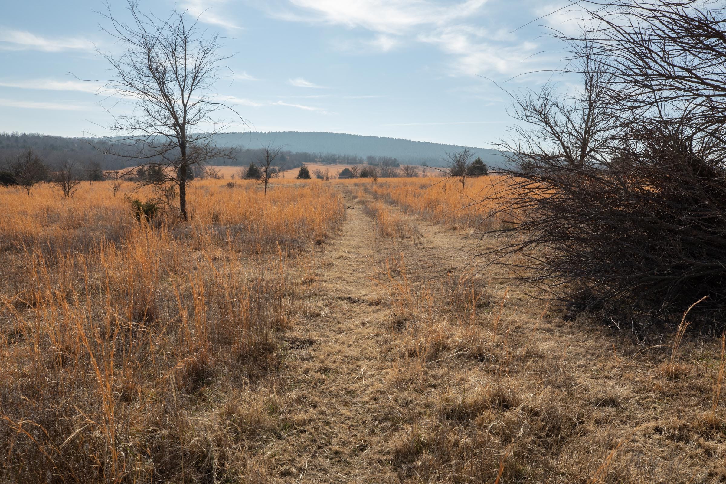 Painted Horse Tract 29 photo 5