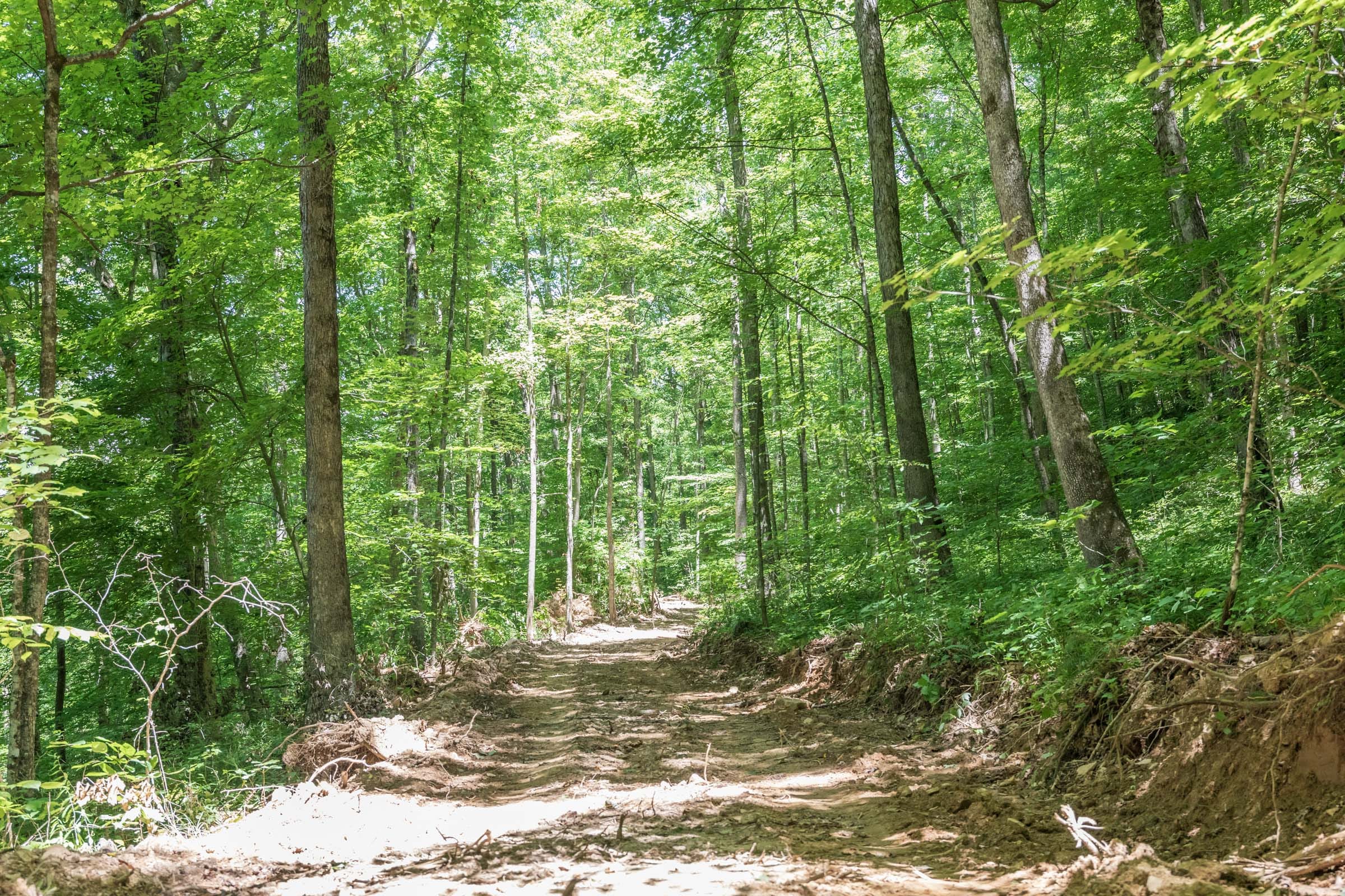 River’s Edge Tract 20 photo 5