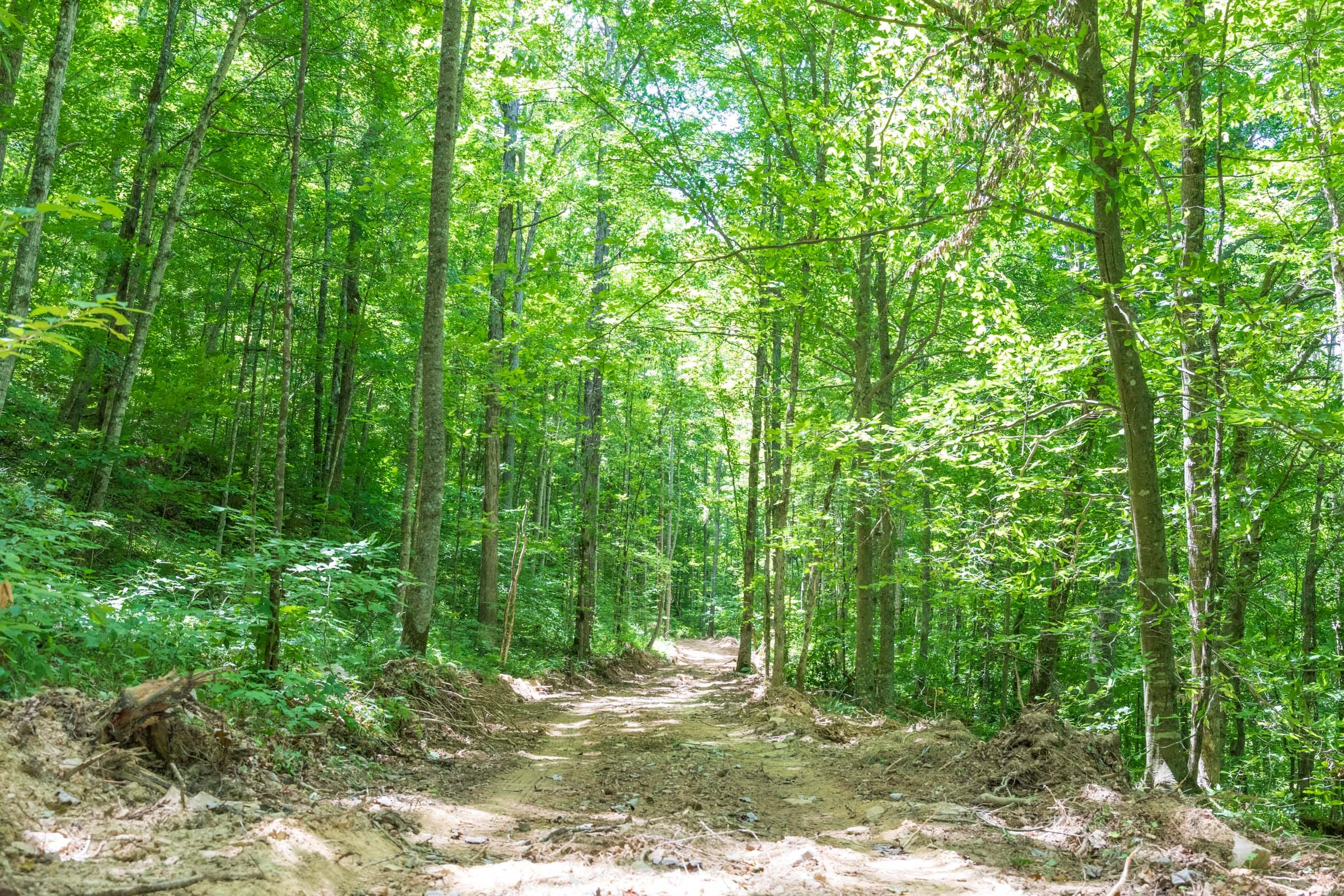 River’s Edge Tract 20 photo 1
