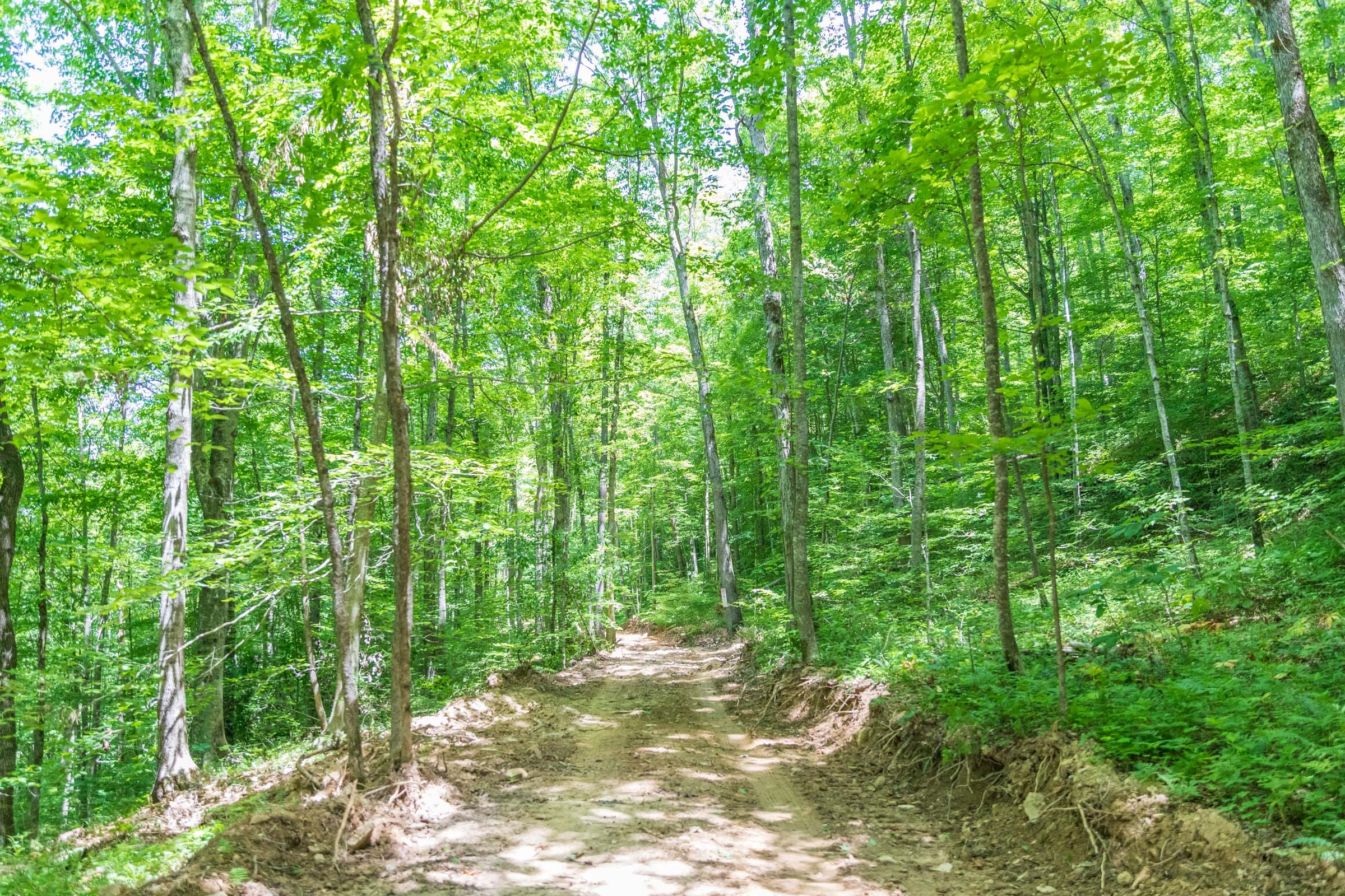 River’s Edge Tract 20 photo 9
