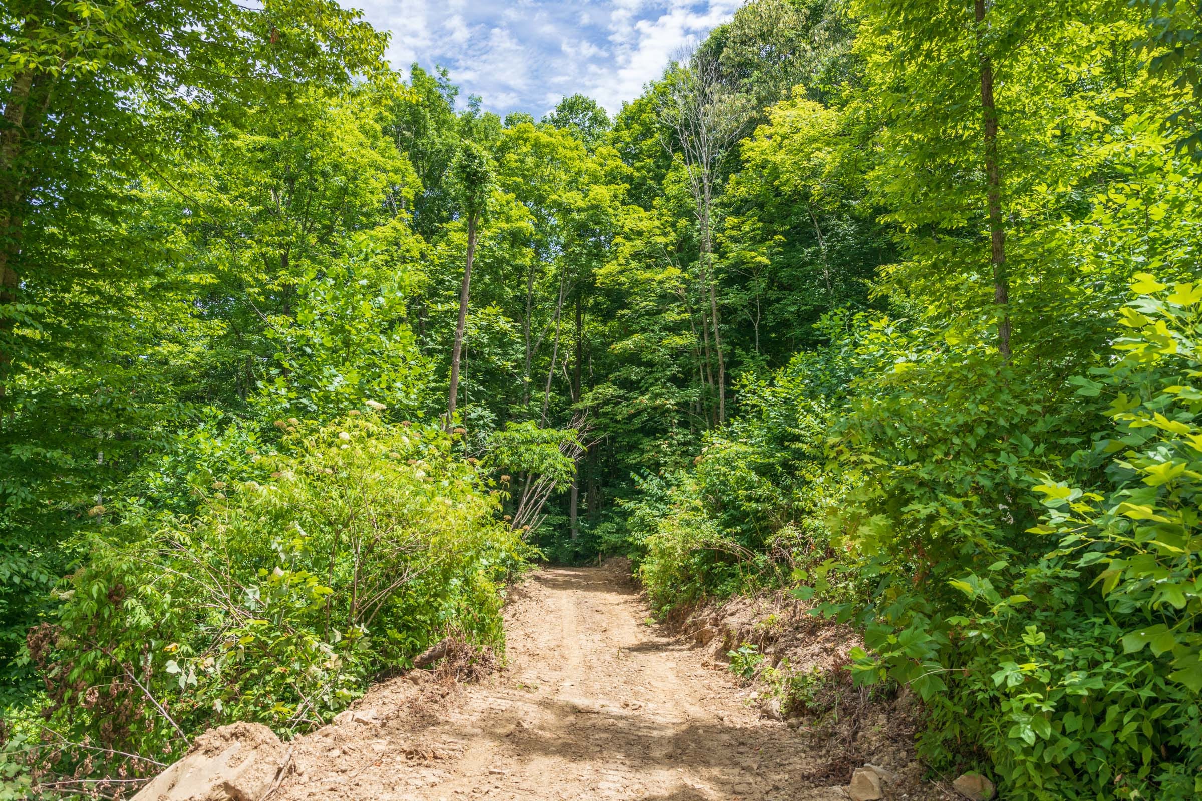 River’s Edge Tract 24 photo 1