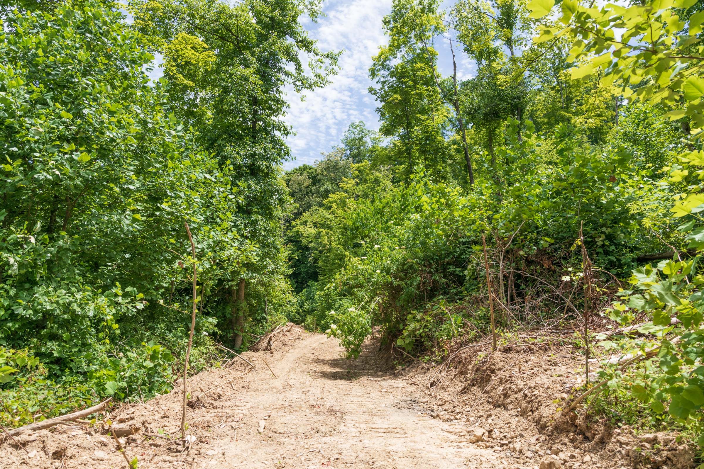 River’s Edge Tract 24 photo 6