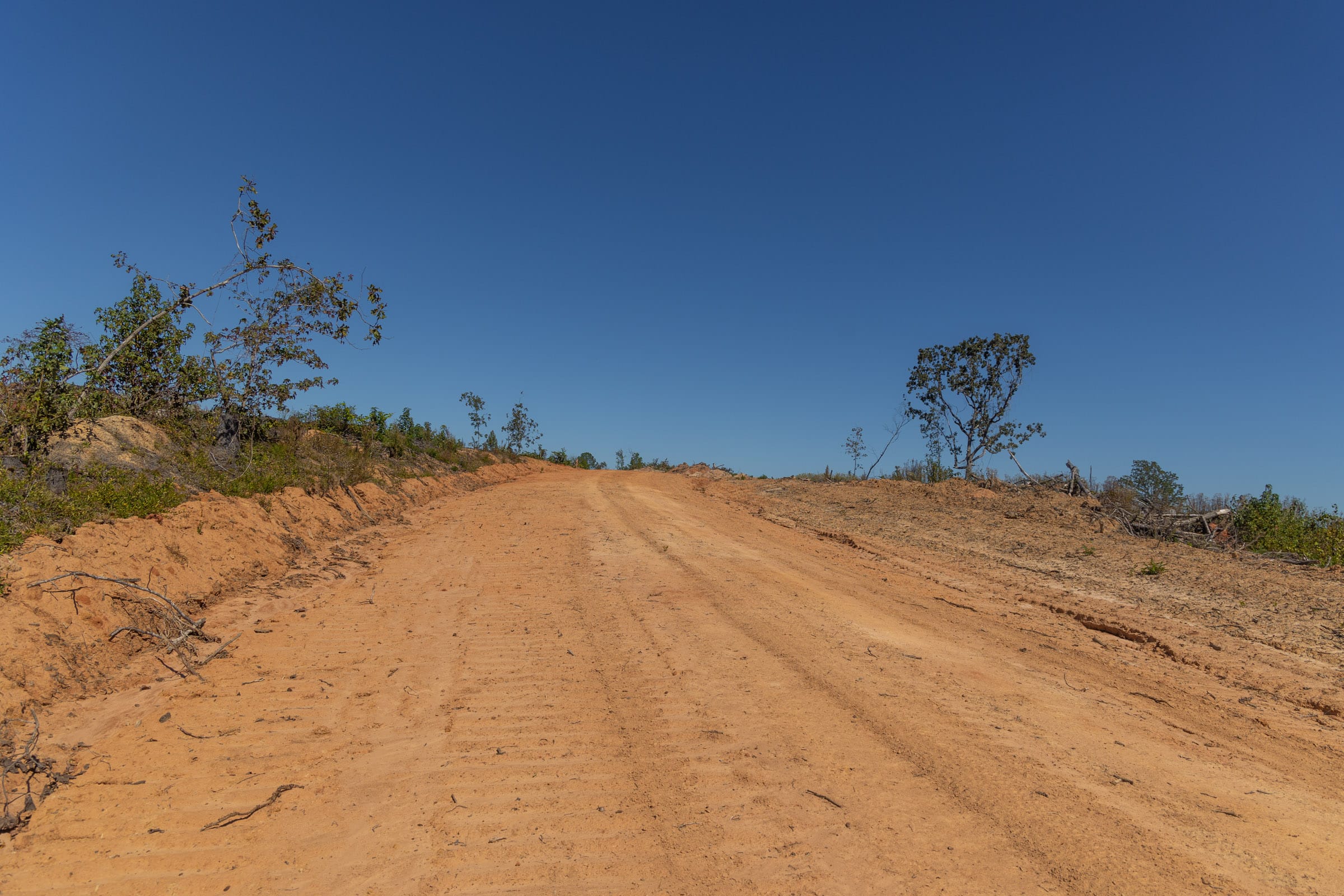 Meyer’s Ridge Tract 43 photo 3