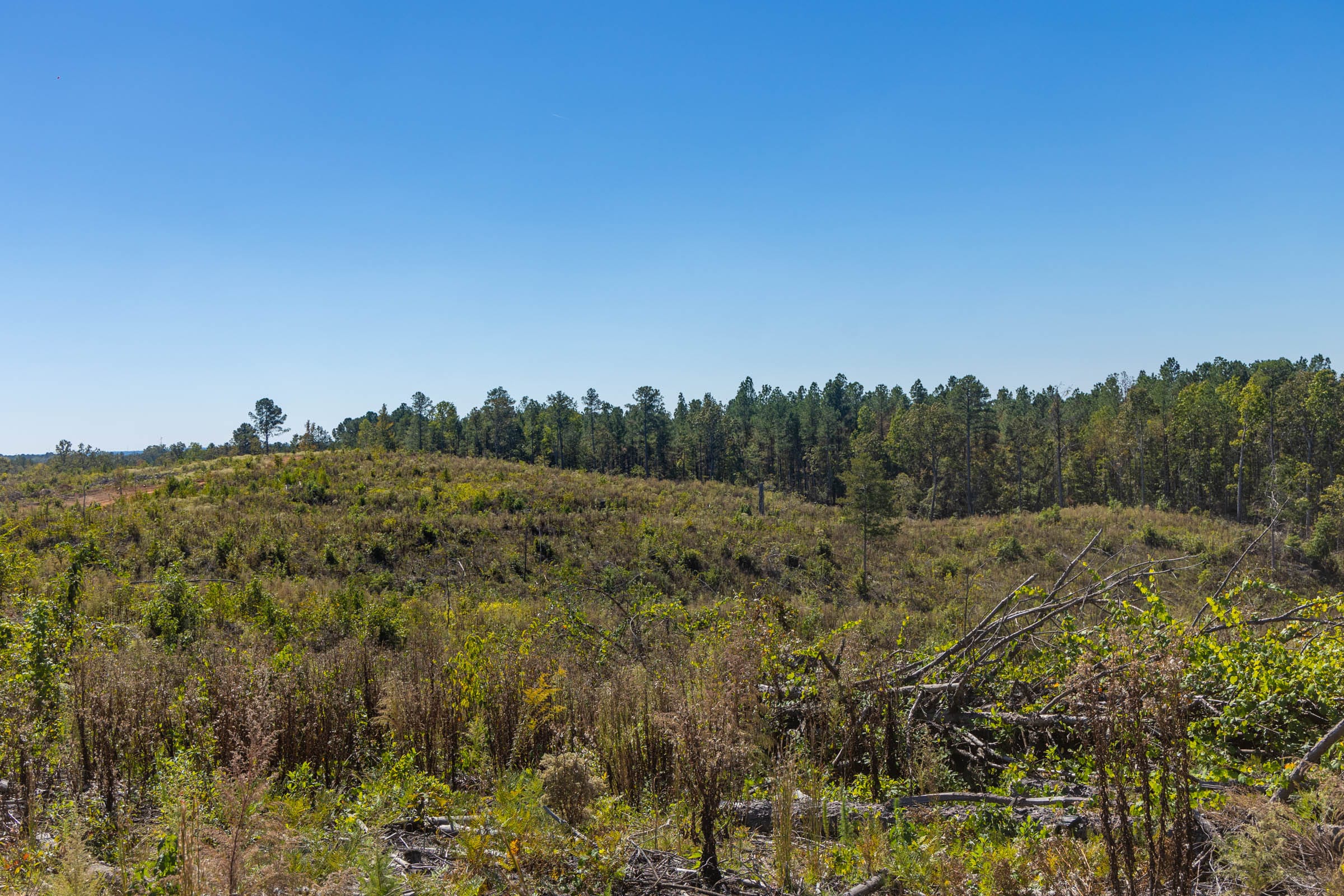 Meyer’s Ridge Tract 43 photo 11