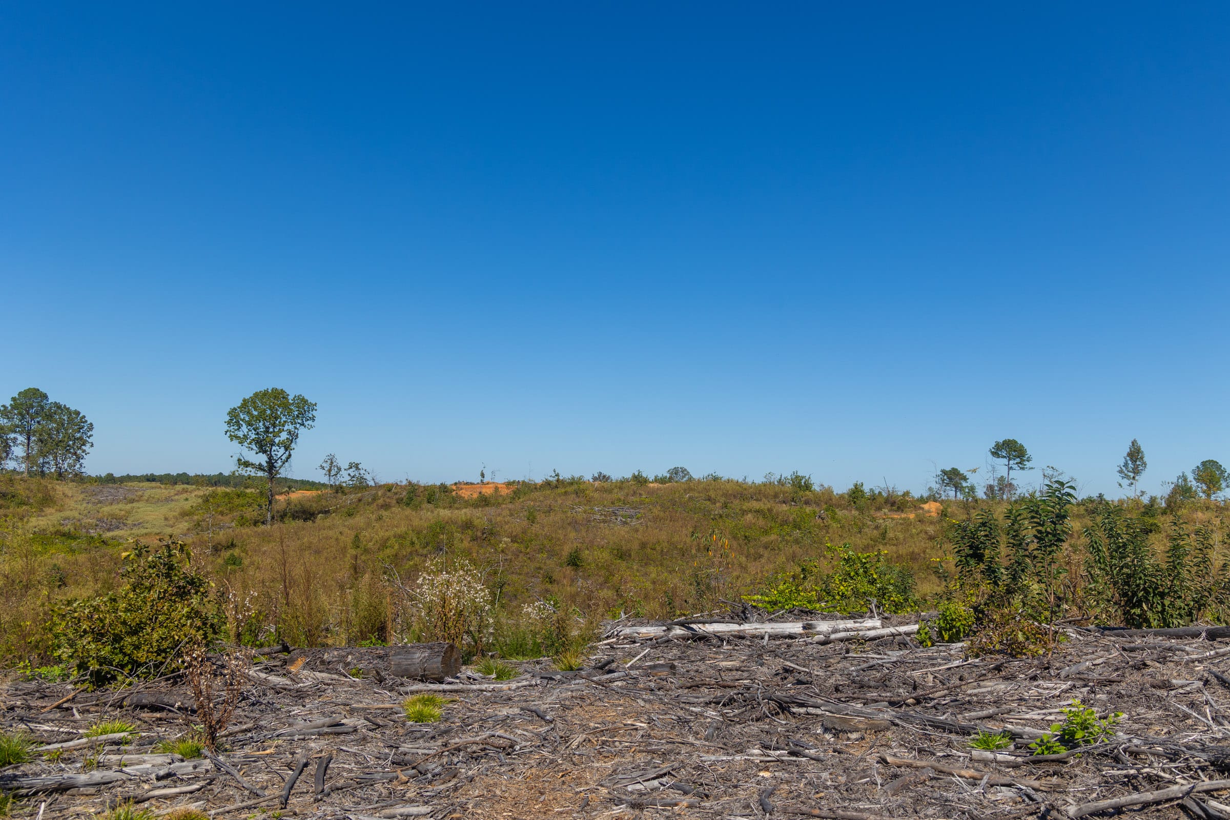 Meyer’s Ridge Tract 43 photo 10