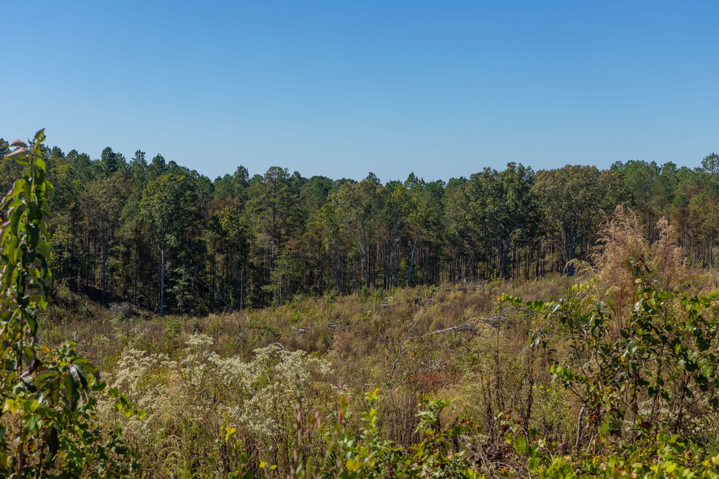 Meyer’s Ridge Tract 43 photo 9