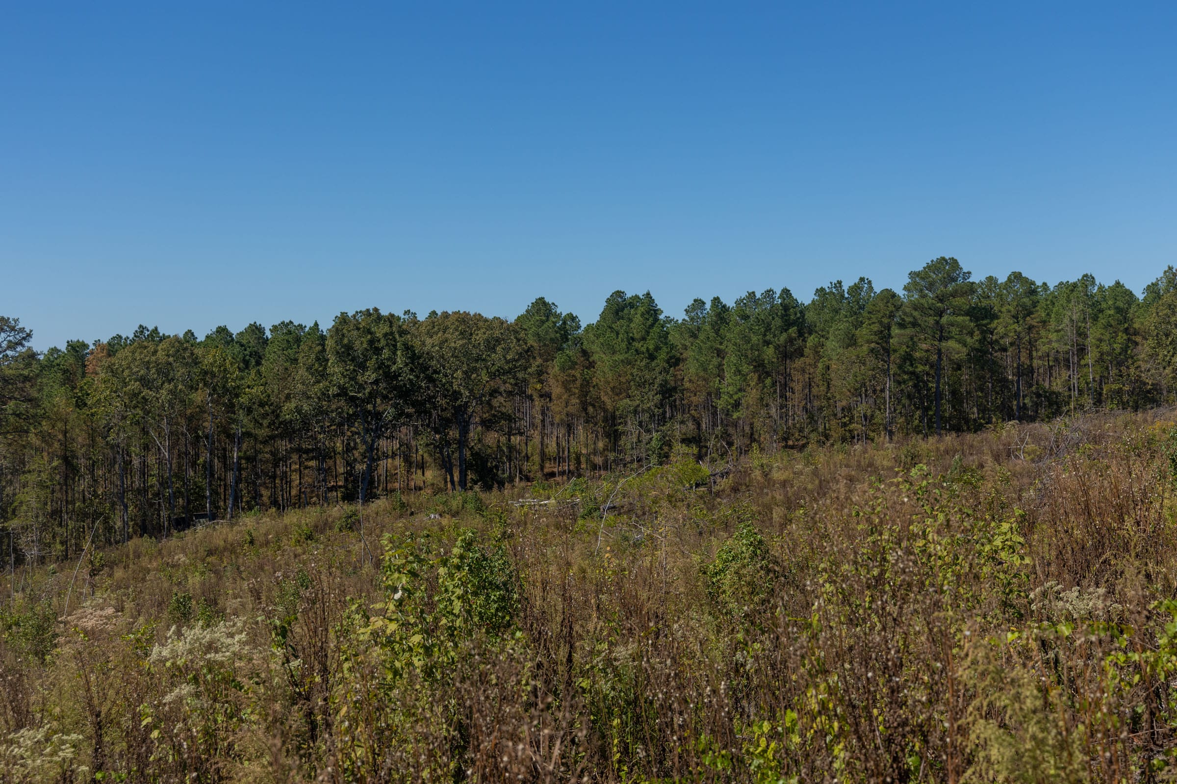 Meyer’s Ridge Tract 43 photo 5