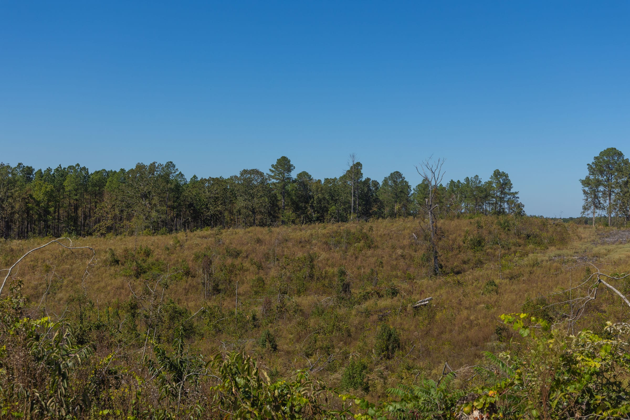 Meyer’s Ridge Tract 43 photo 8
